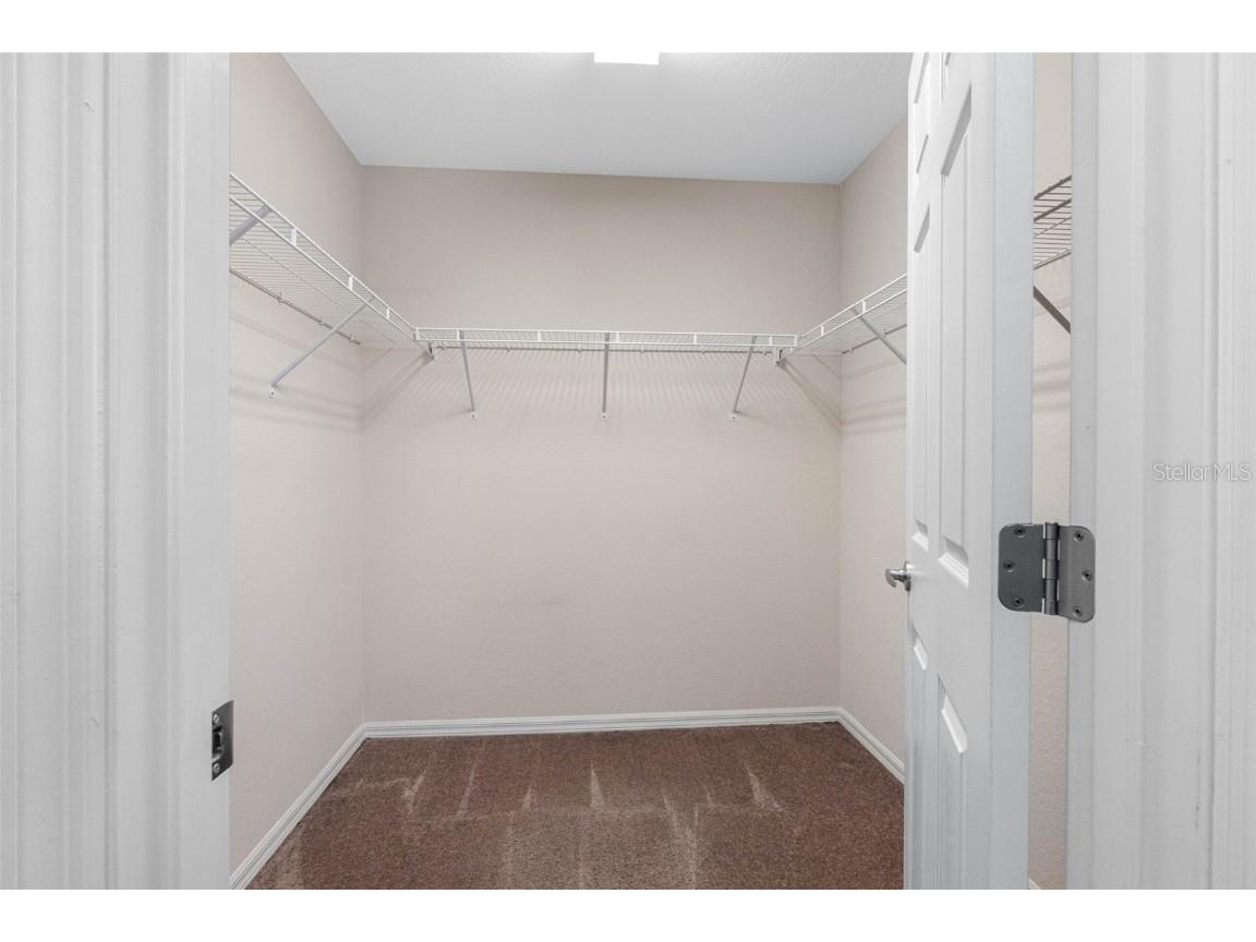 5101 Chipotle Lane Wesley Chapel FL 33544 TB8420065 image23