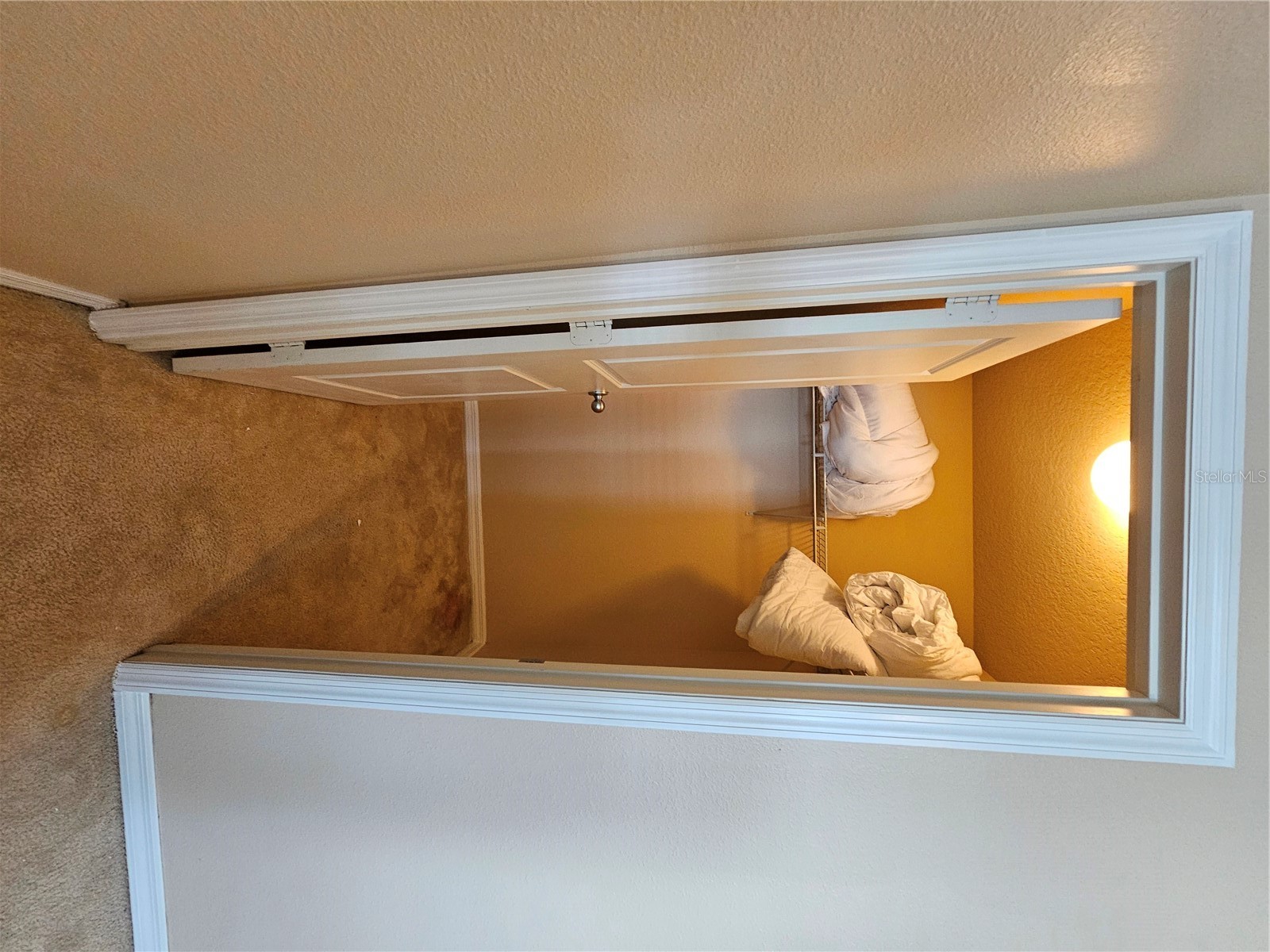 5101 Killarney Way Kissimmee FL 34746 O6381548 image10