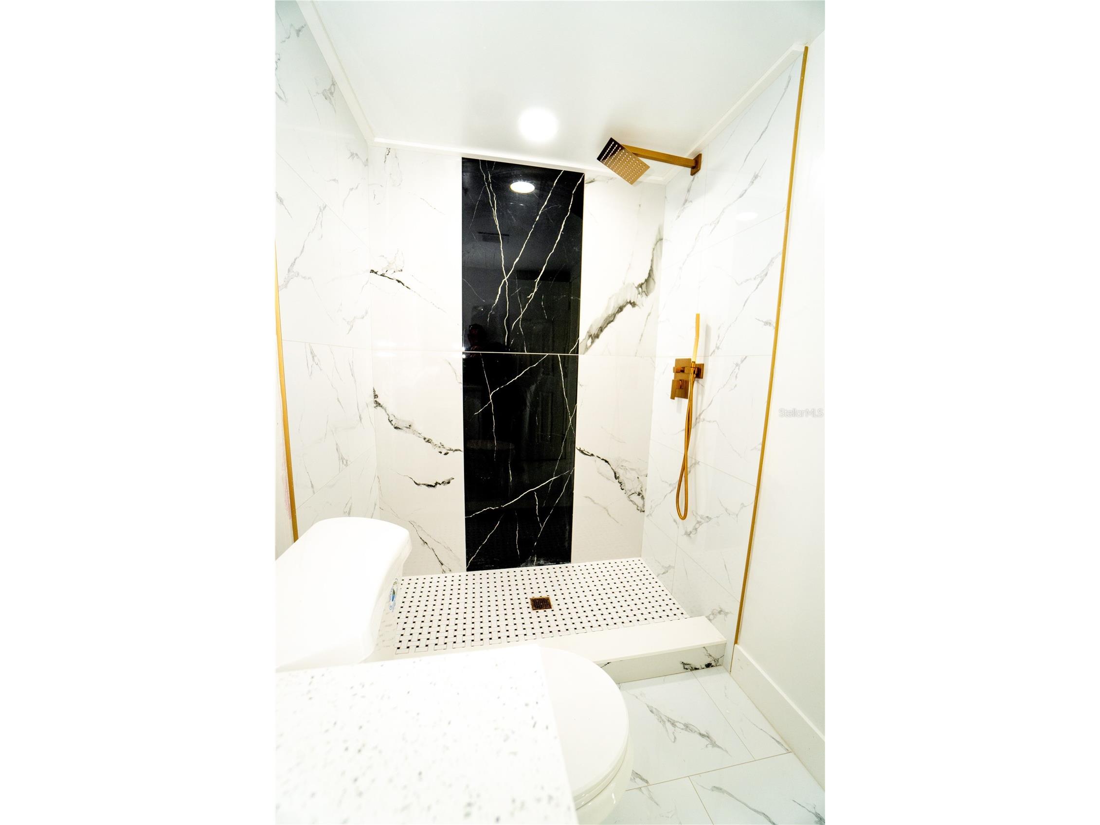 5101 Vinson Drive Tampa FL 33610 - BELLOWS LAKE/ EAST LAKE PARK TB8527901 image22