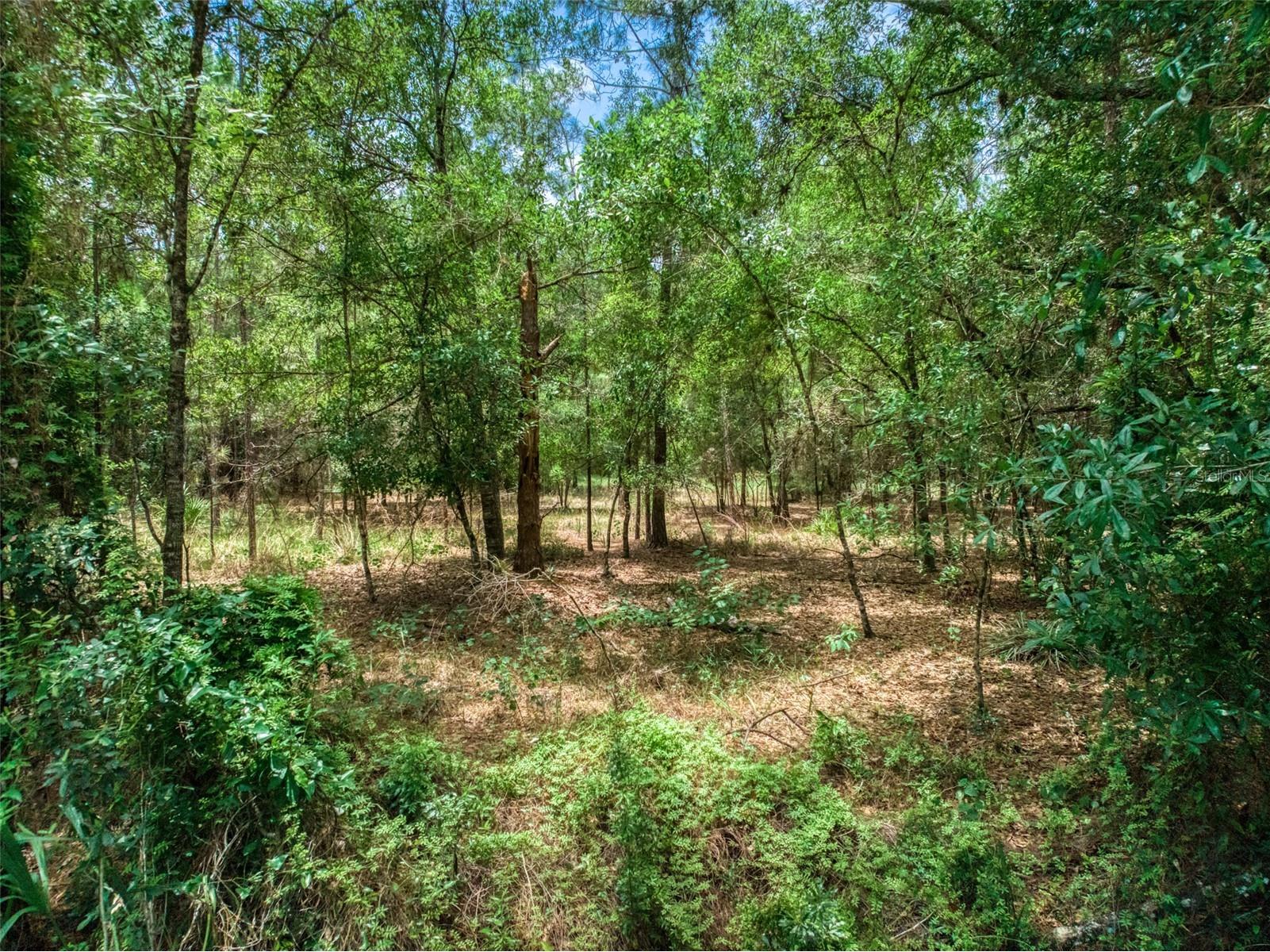 5101 Whippoorwill Road Sebring FL 33875 L4963544 image1