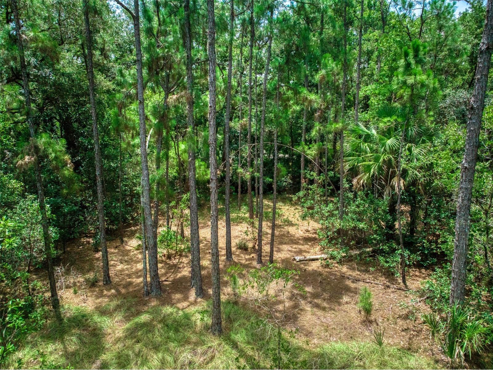 5101 Whippoorwill Road Sebring FL 33875 L4963544 image11