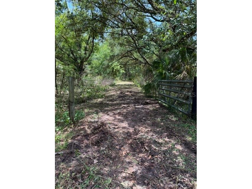 5101 Whippoorwill Road Sebring FL 33875 L4963544 image18