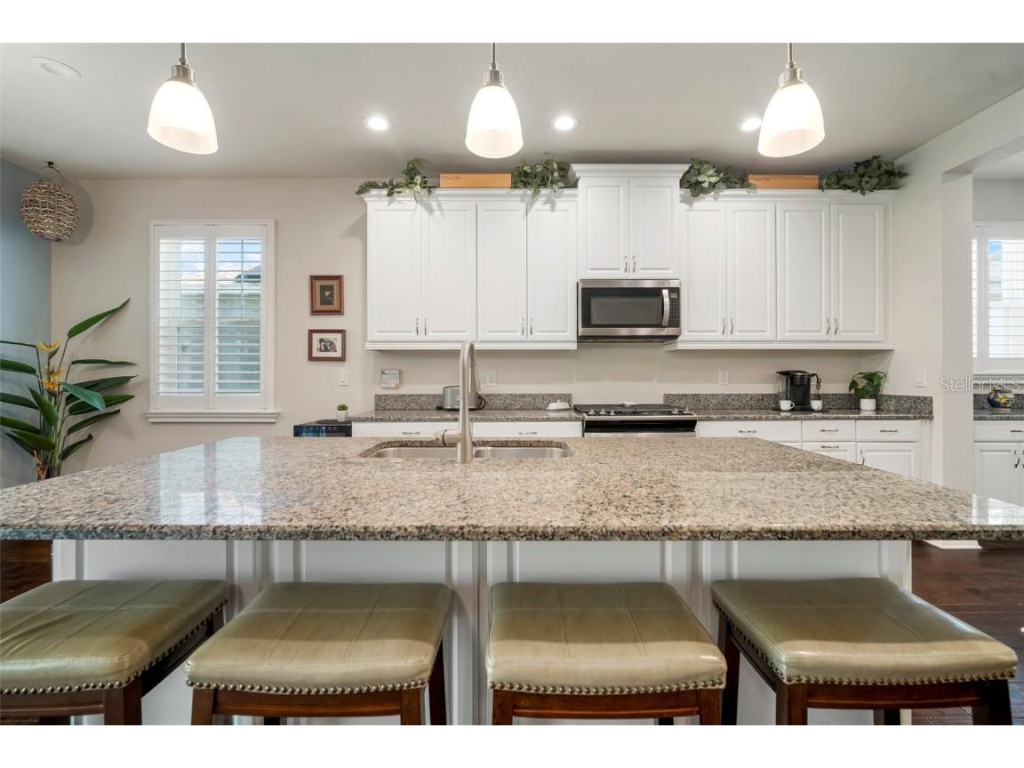 5102 Coastal Scene Drive Apollo Beach FL 33572 TB8391258 image31