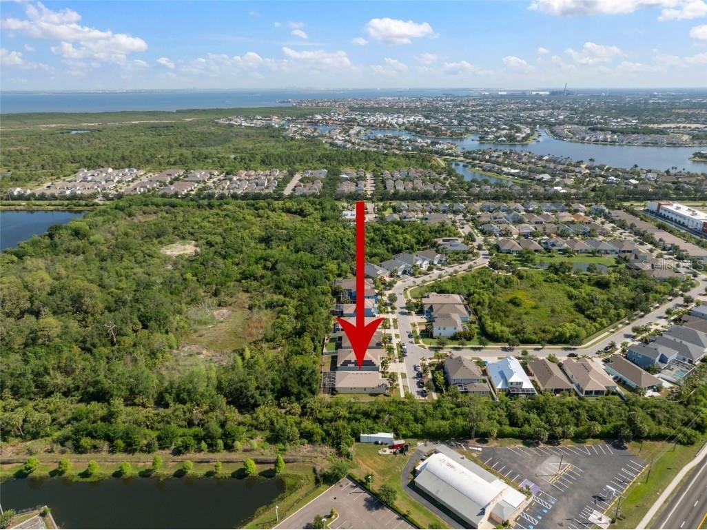 5102 Coastal Scene Drive Apollo Beach FL 33572 TB8391258 image57