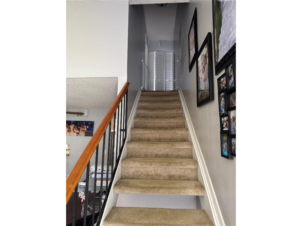 5102 Crestmore Court Tampa FL 33624 TB8435637 image12