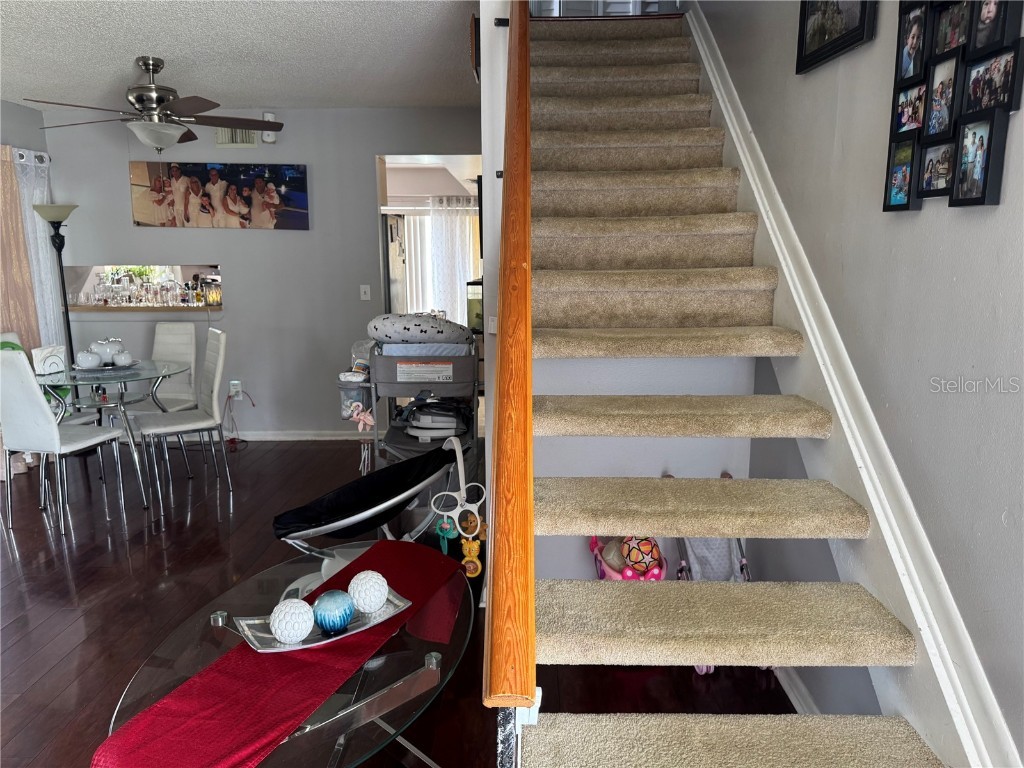 5102 Crestmore Court Tampa FL 33624 TB8435637 image13