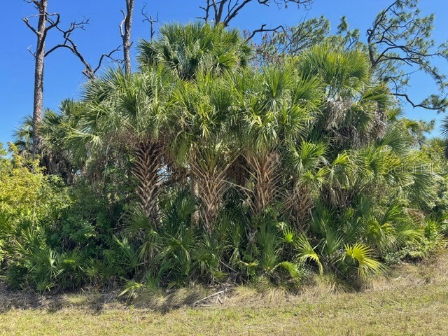 5102 Hopkins Avenue Port Charlotte FL 33981 C7523088 image3