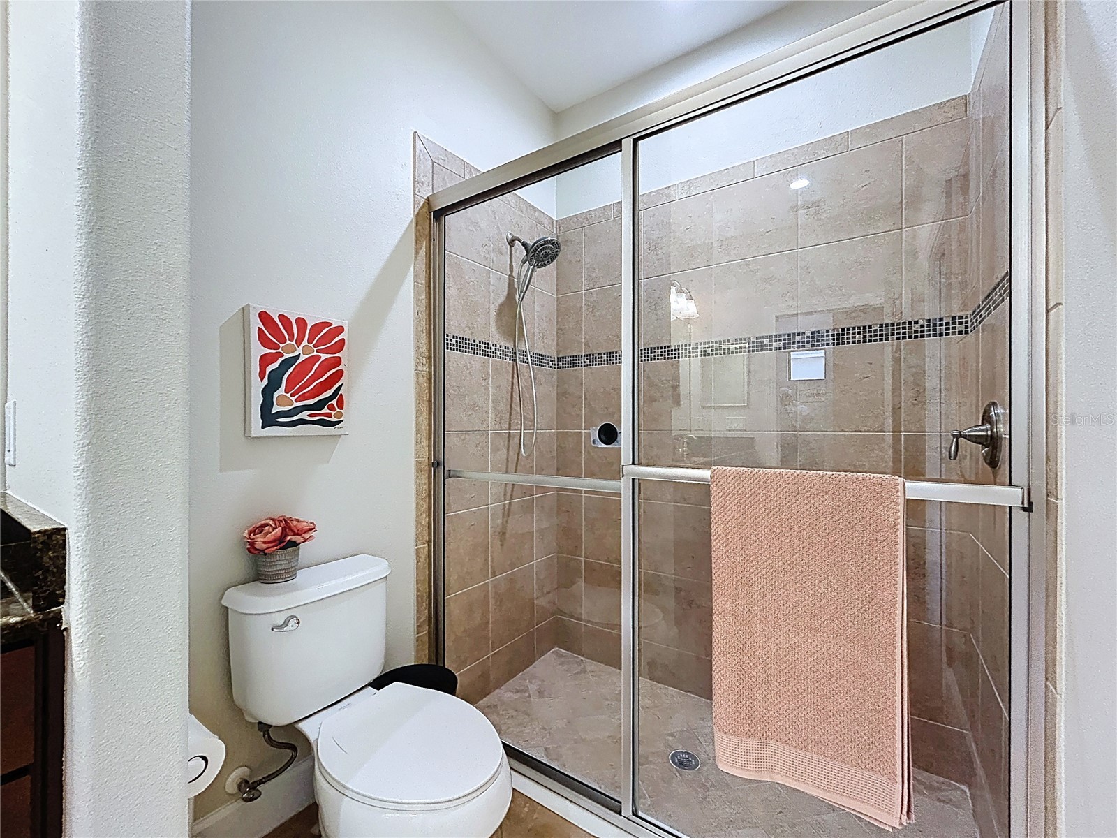 5102 Savona Run Bradenton FL 34211 TB8499214 image31