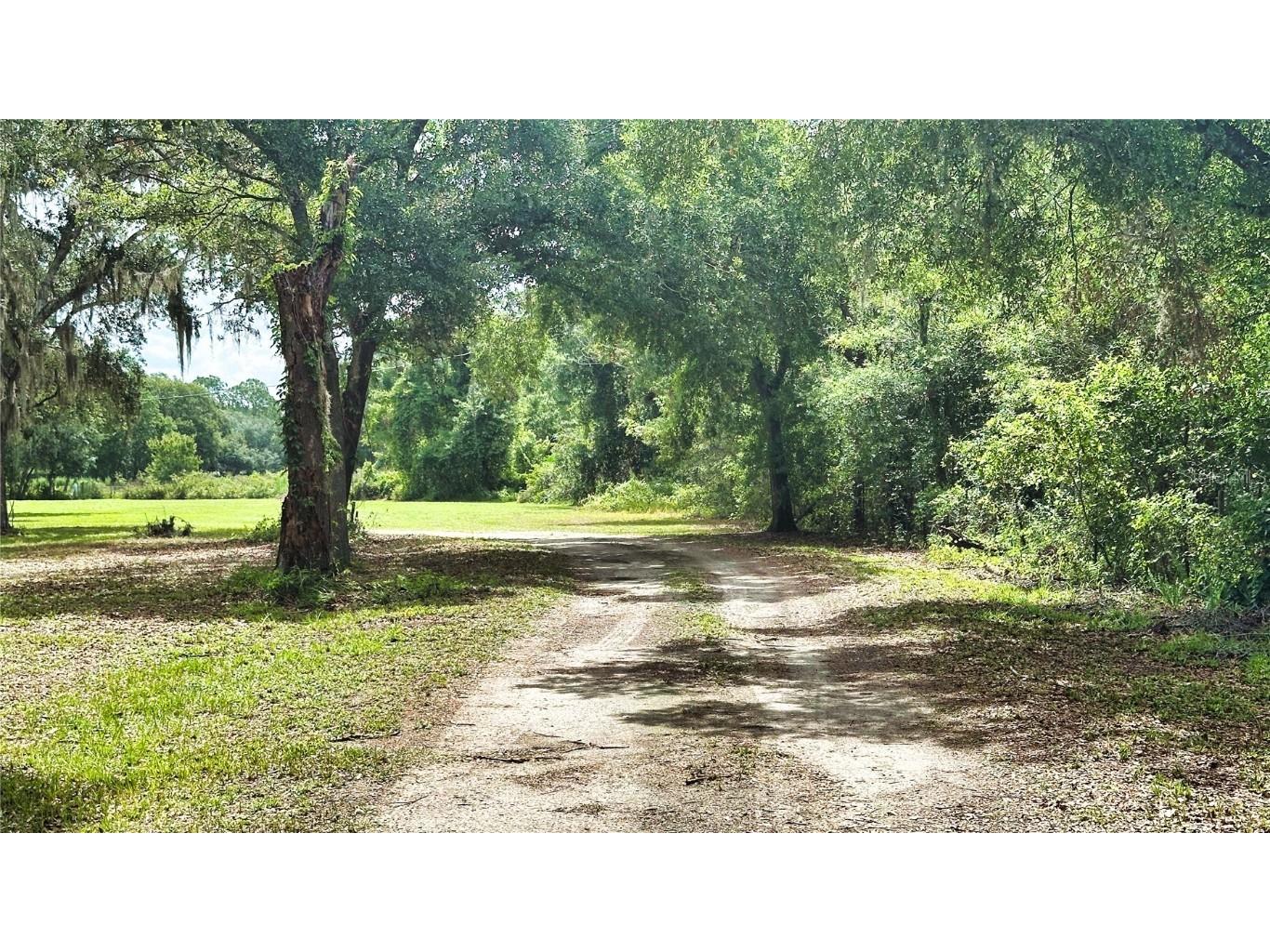 5102 Vaughn Road Plant City FL 33565 L4953518 image56