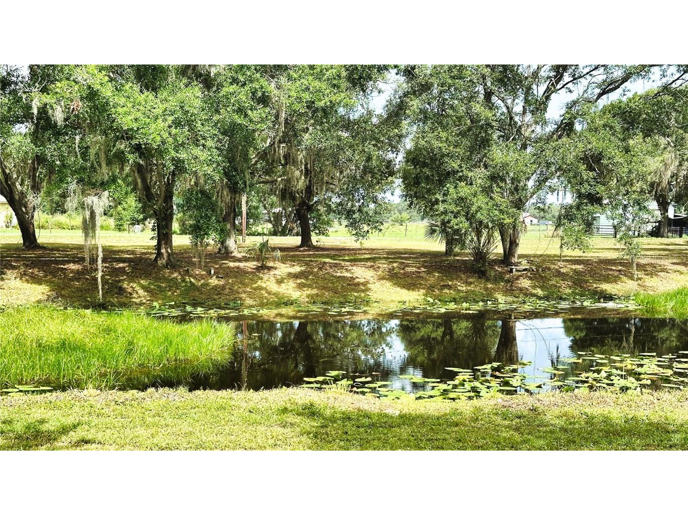 5102 Vaughn Road Plant City FL 33565 L4953518 image59