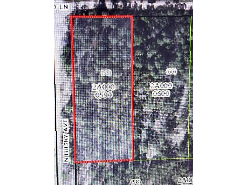 5102 W Osmond Lane Dunnellon FL 34433 T3447556 image1