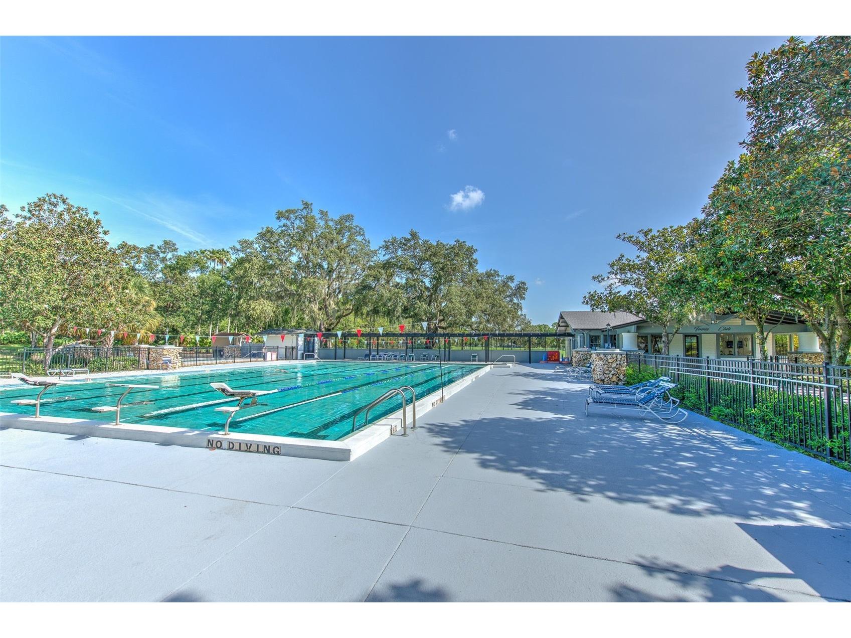 5103 Broken Sound Lane Valrico FL 33596 TB8513905 image100