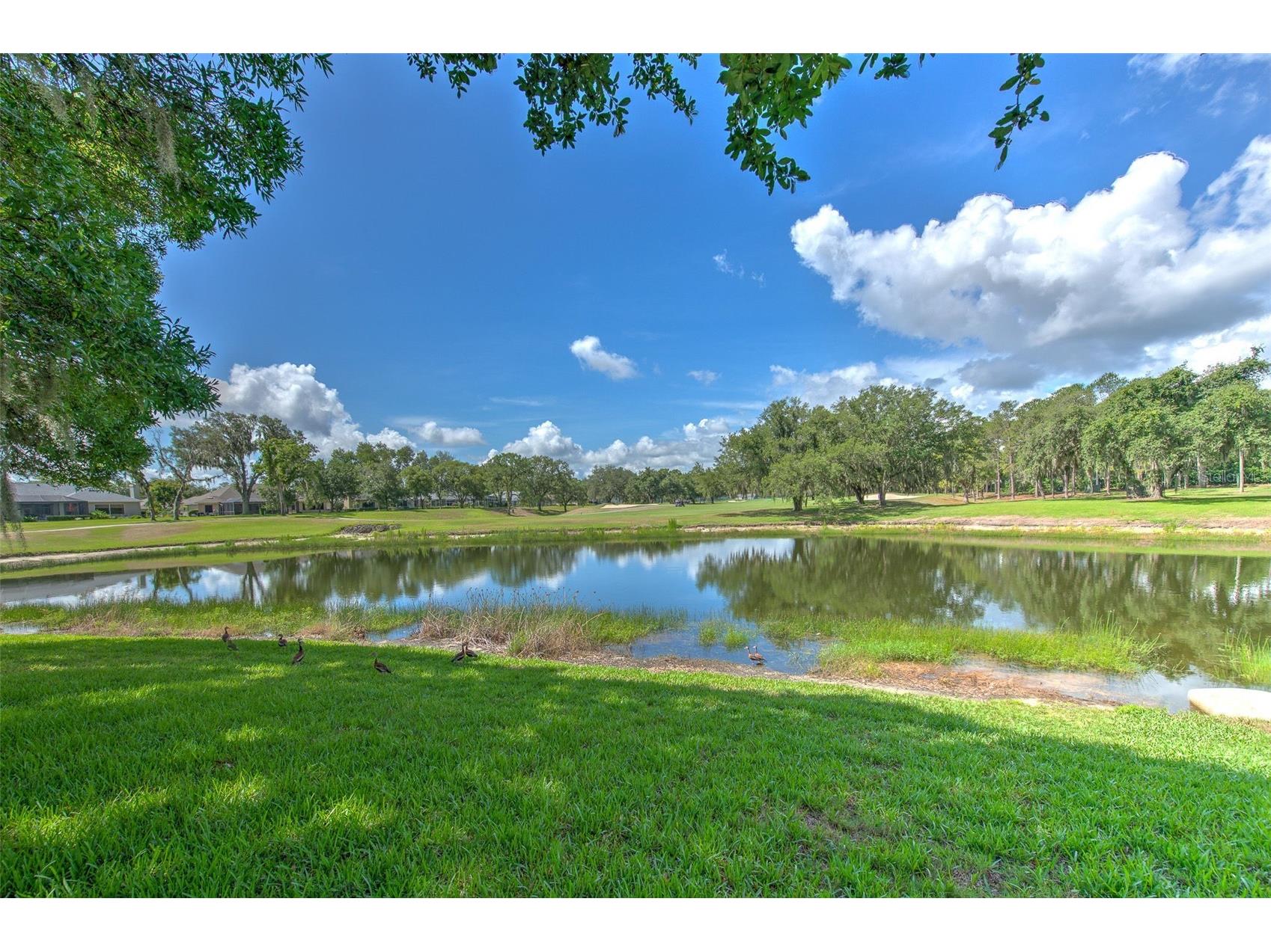 5103 Broken Sound Lane Valrico FL 33596 TB8513905 image34
