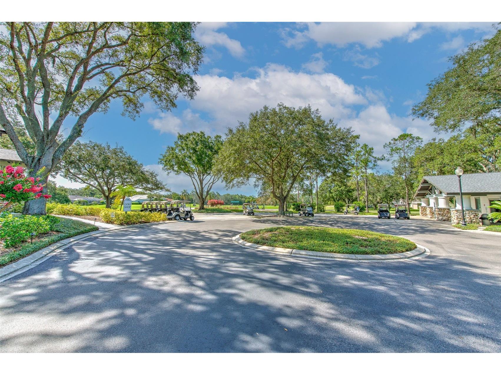 5103 Broken Sound Lane Valrico FL 33596 TB8513905 image65