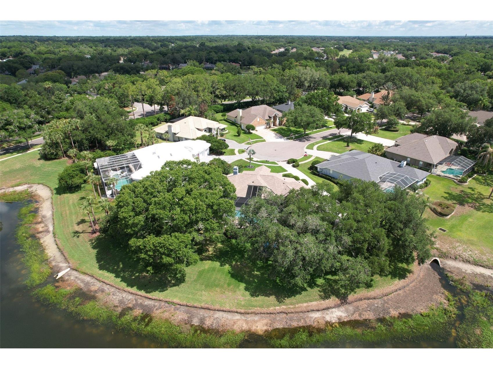 5103 Broken Sound Lane Valrico FL 33596 TB8513905 image78