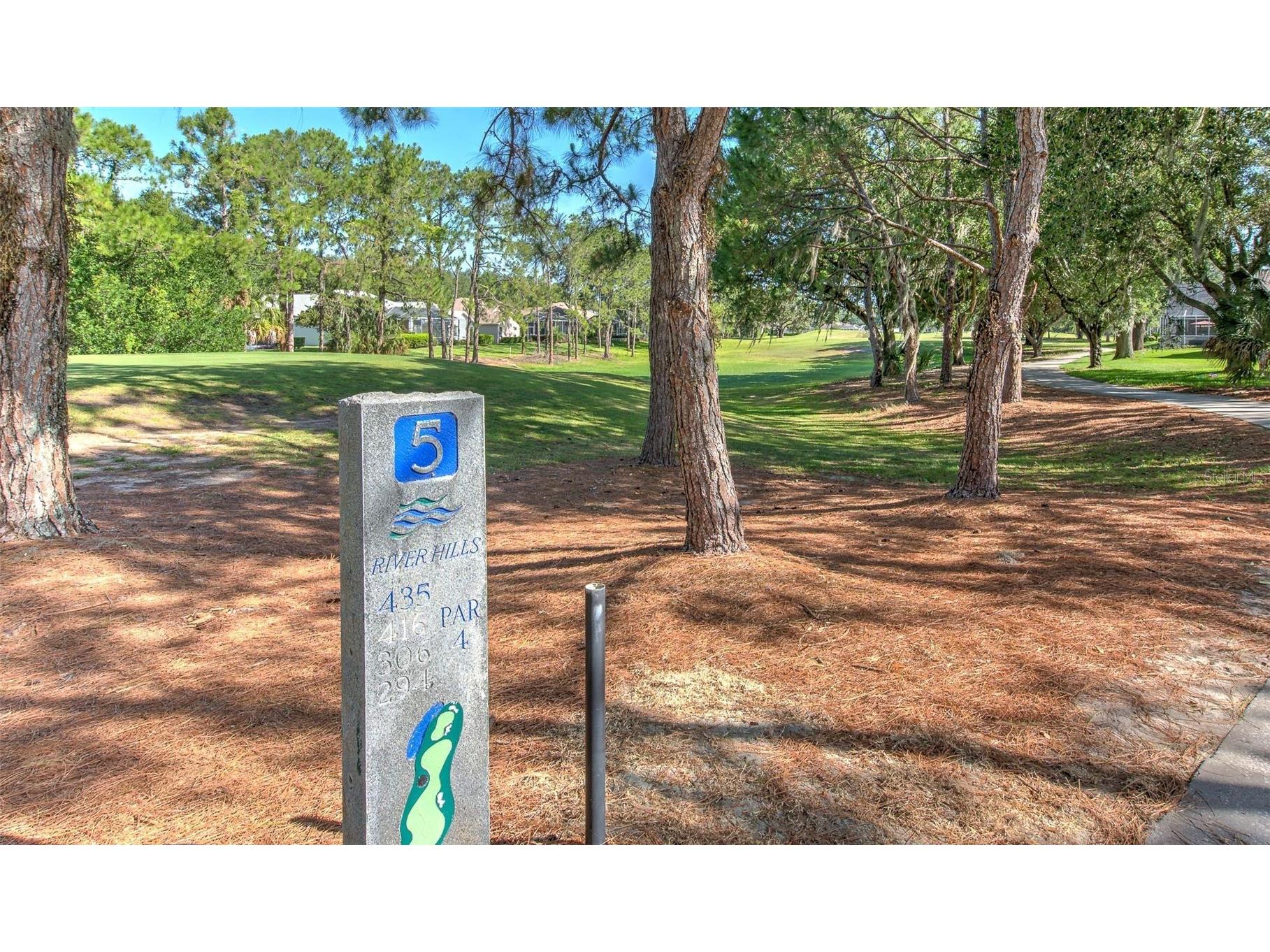 5103 Broken Sound Lane Valrico FL 33596 TB8513905 image98