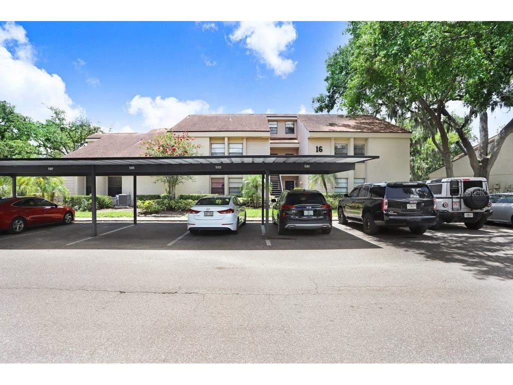 5103 Puritan Circle #1623 Tampa FL 33617 TB8396150 image1
