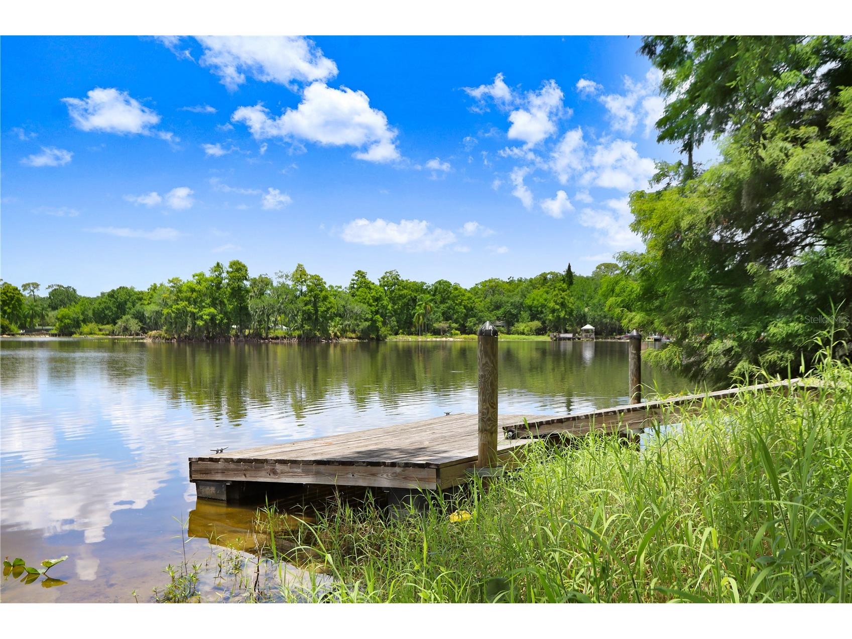 5103 Puritan Circle #1623 Tampa FL 33617 TB8396150 image27