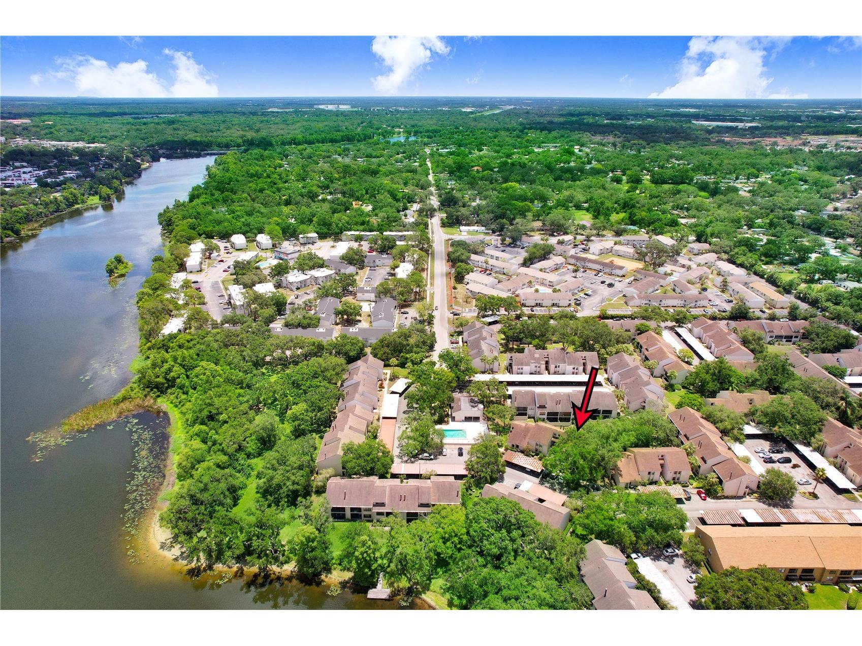 5103 Puritan Circle #1623 Tampa FL 33617 TB8396150 image33