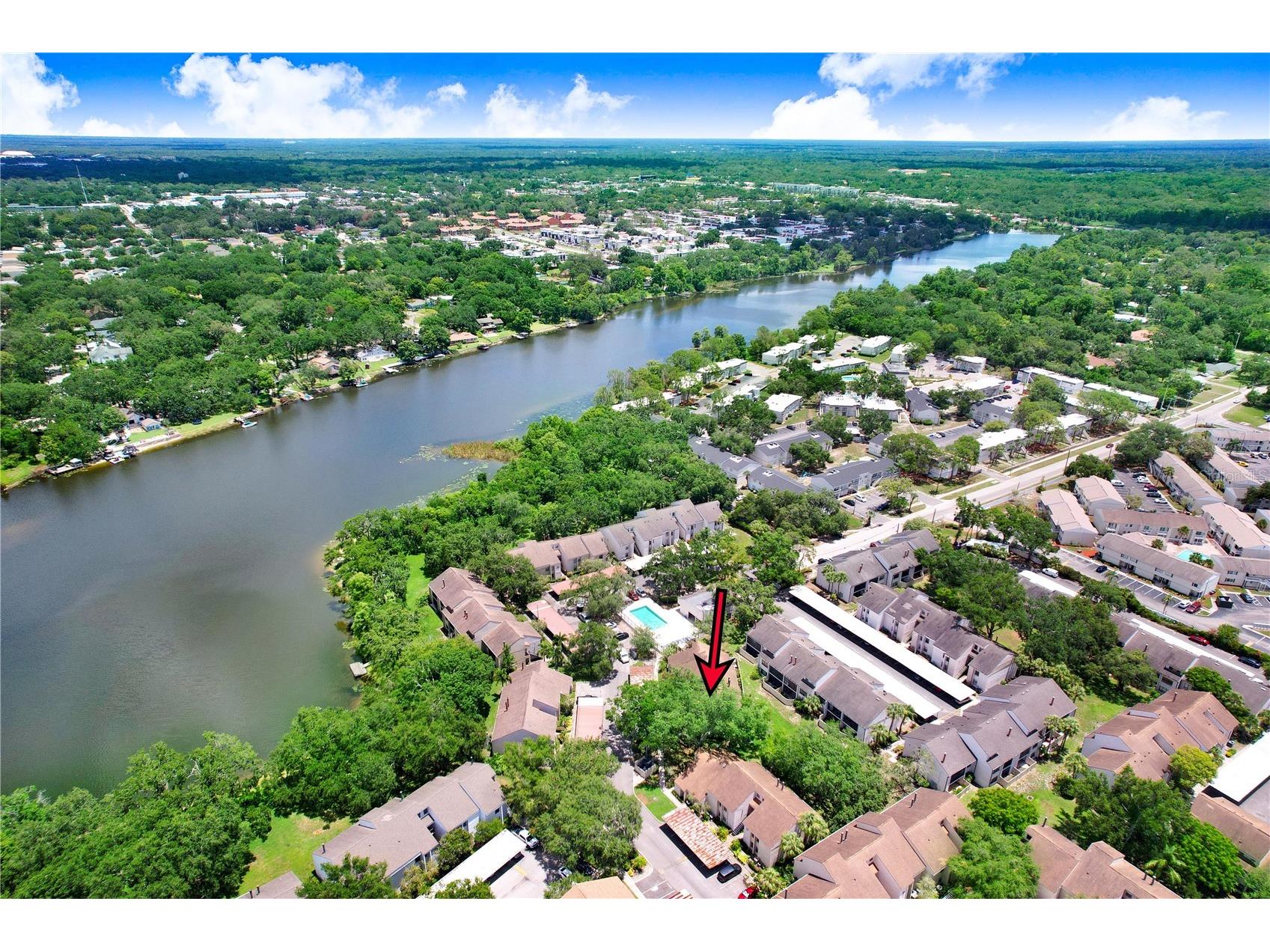 5103 Puritan Circle #1623 Tampa FL 33617 TB8396150 image34