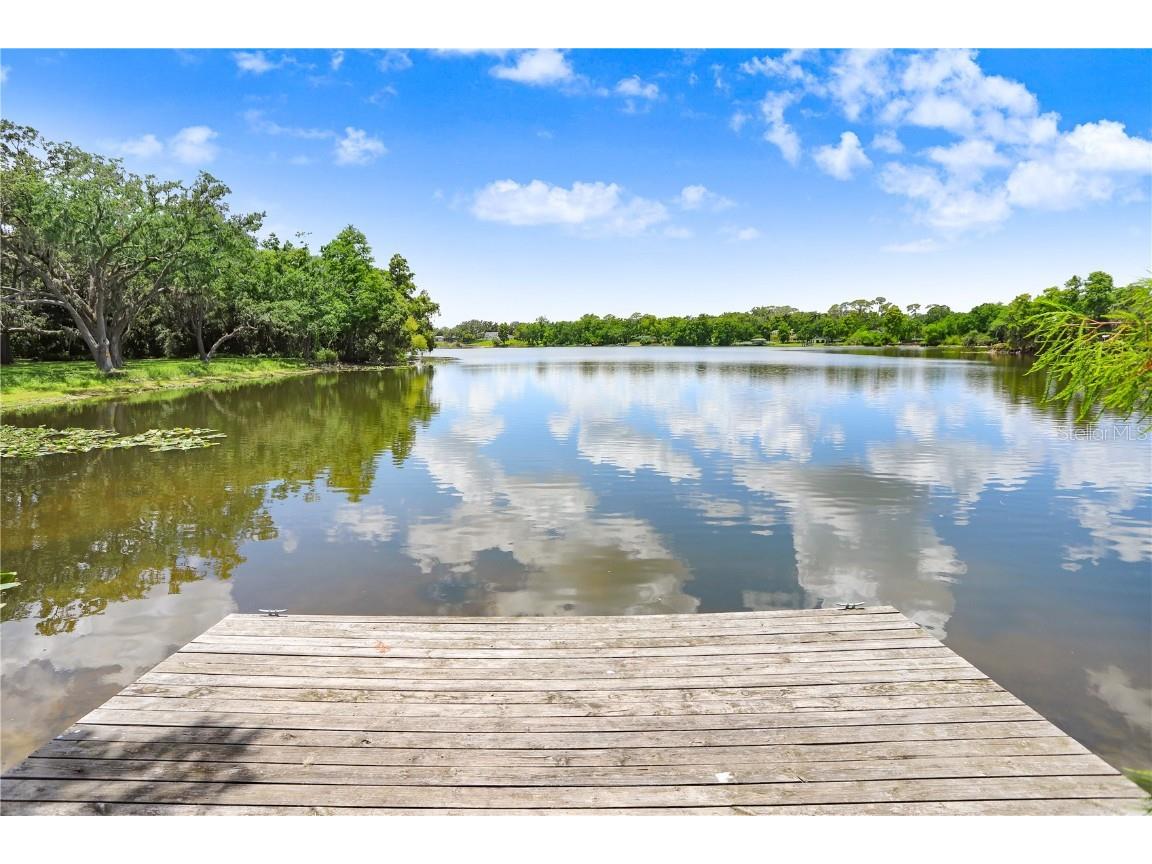 5103 Puritan Circle #5103 Tampa FL 33617 TB8396150 image26