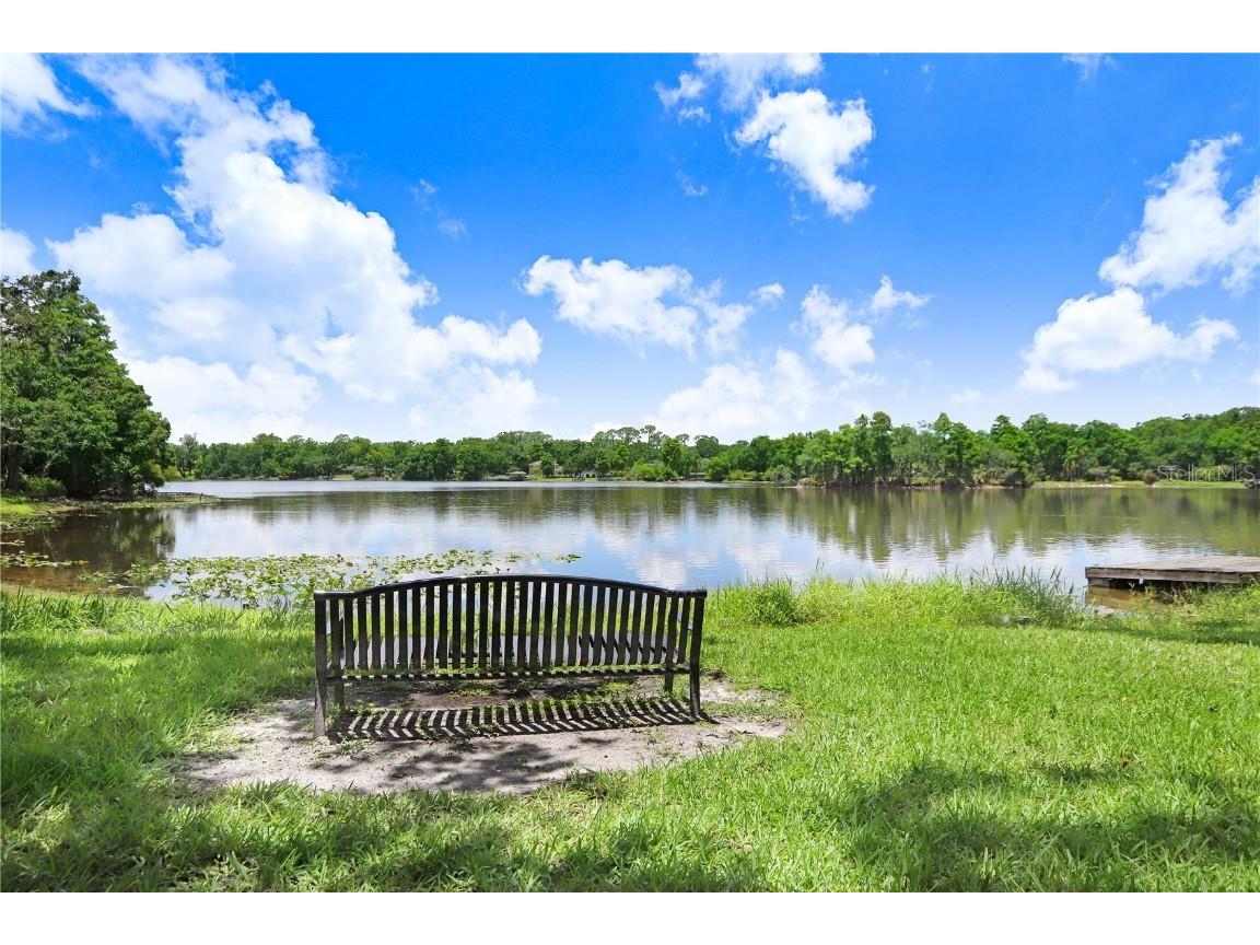 5103 Puritan Circle #5103 Tampa FL 33617 TB8396150 image28