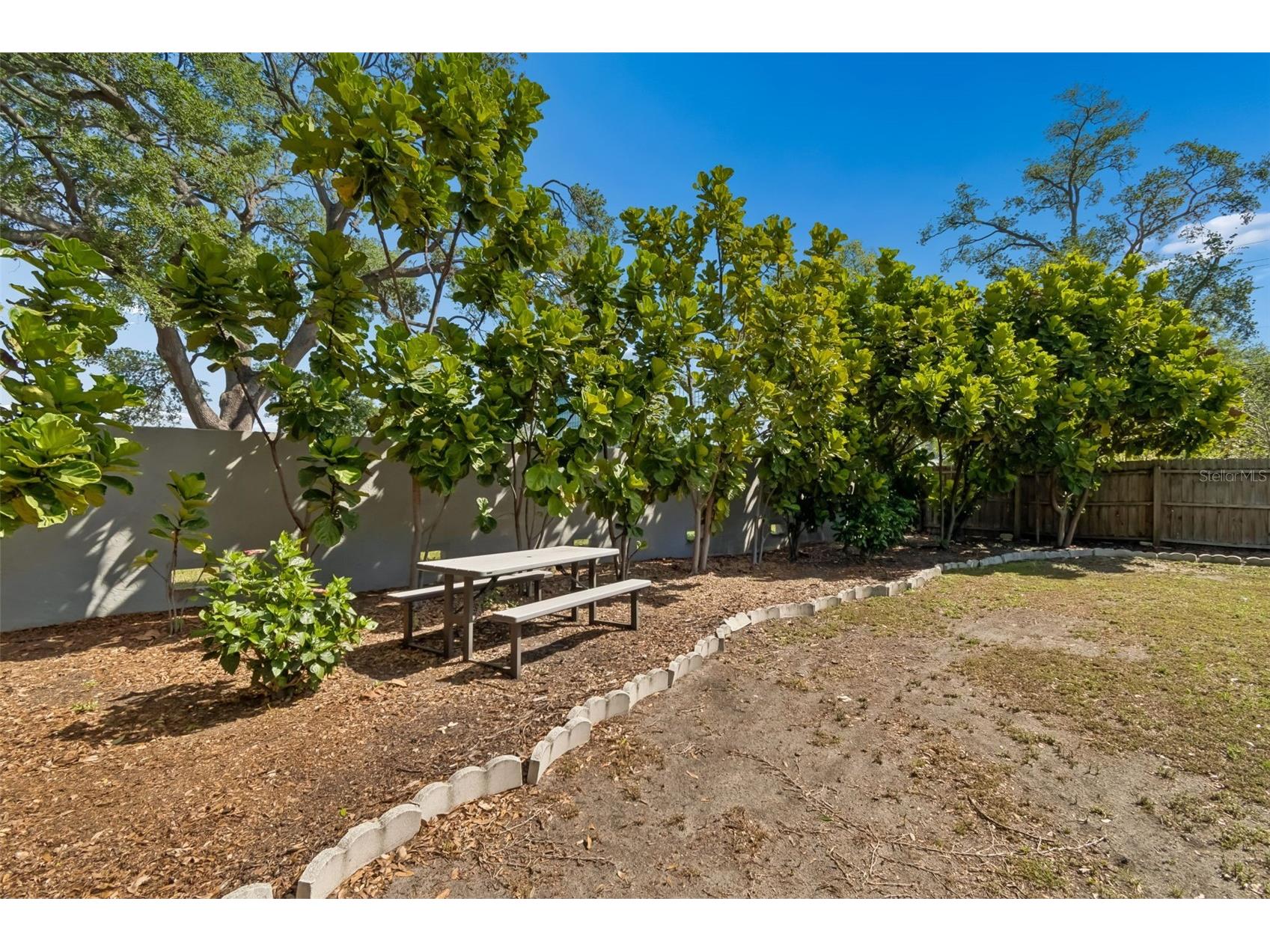 5103 W Cleveland Street Tampa FL 33609 TB8494408 image52