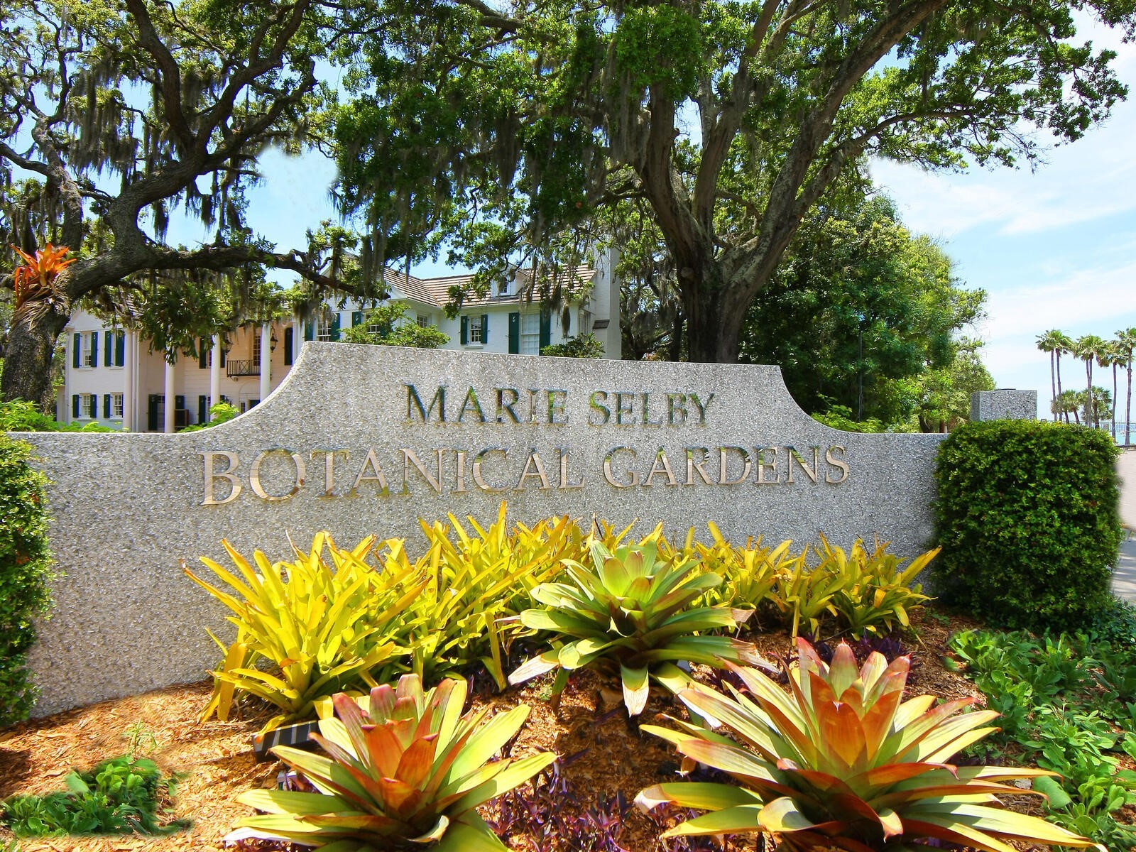 5103 Windward Avenue Sarasota FL 34242 - GRAND CANAL A4676707 image77