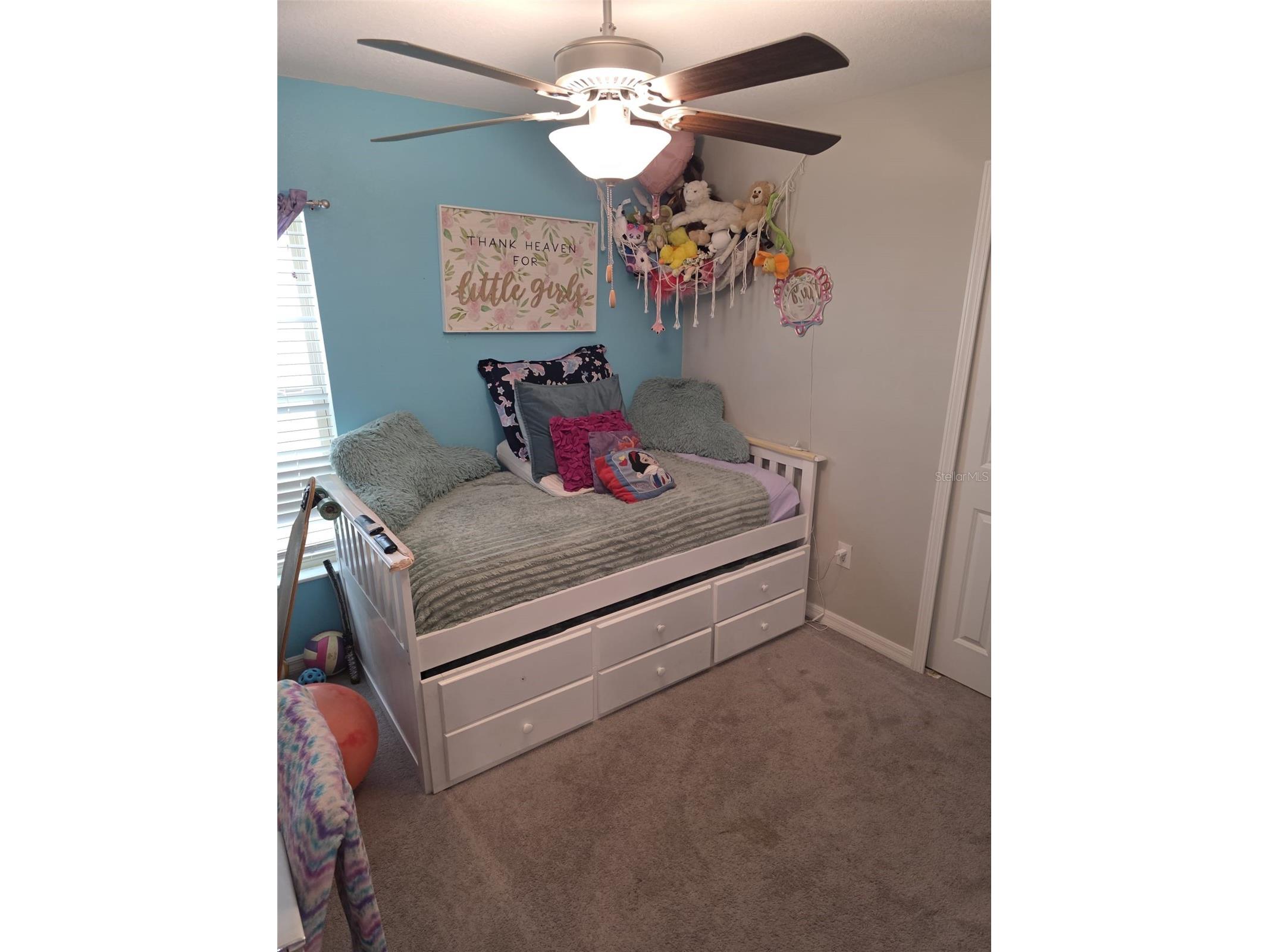 5104 Dandelion Street Apollo Beach FL 33572 S5149790 image11