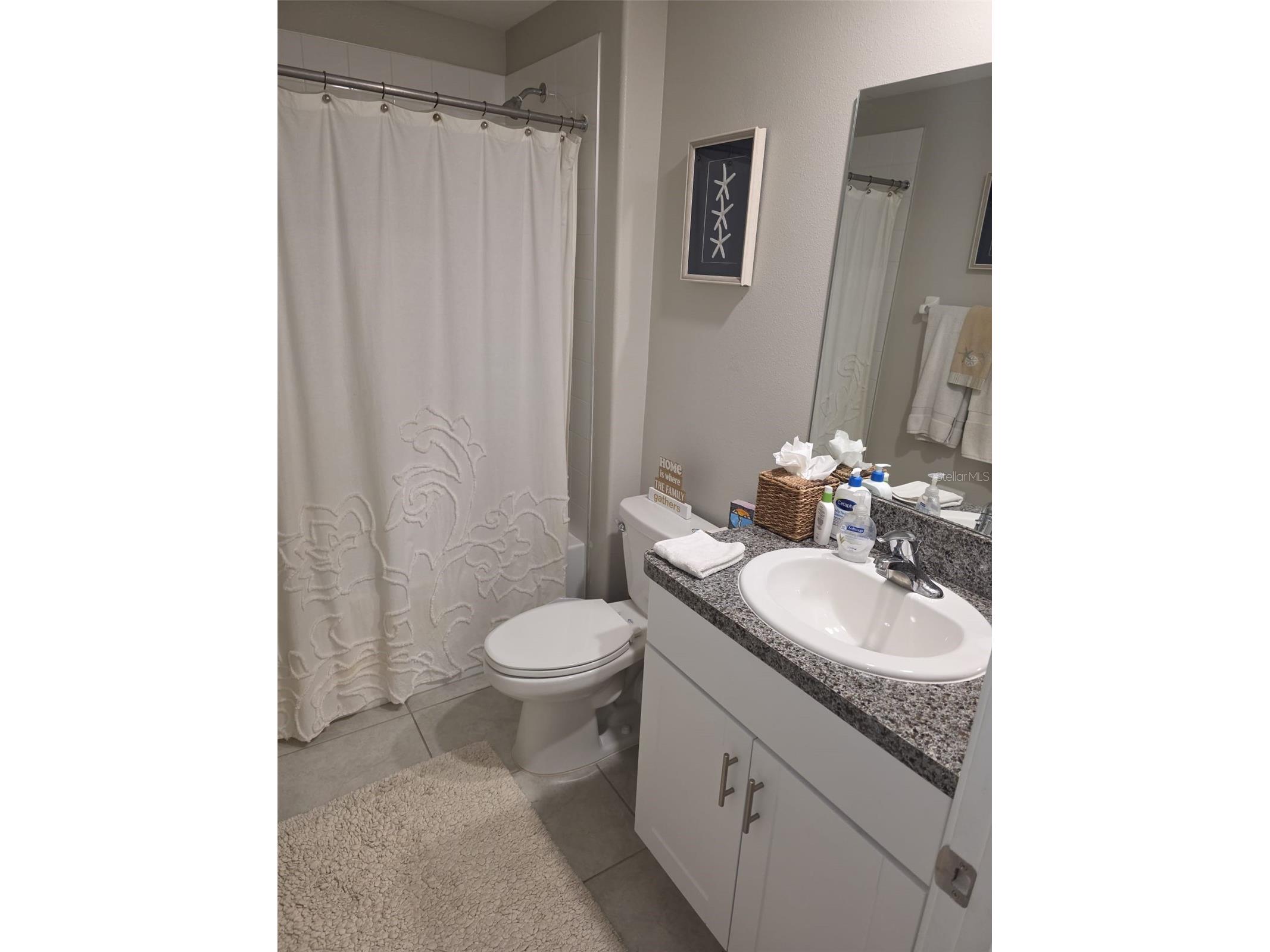 5104 Dandelion Street Apollo Beach FL 33572 S5149790 image13