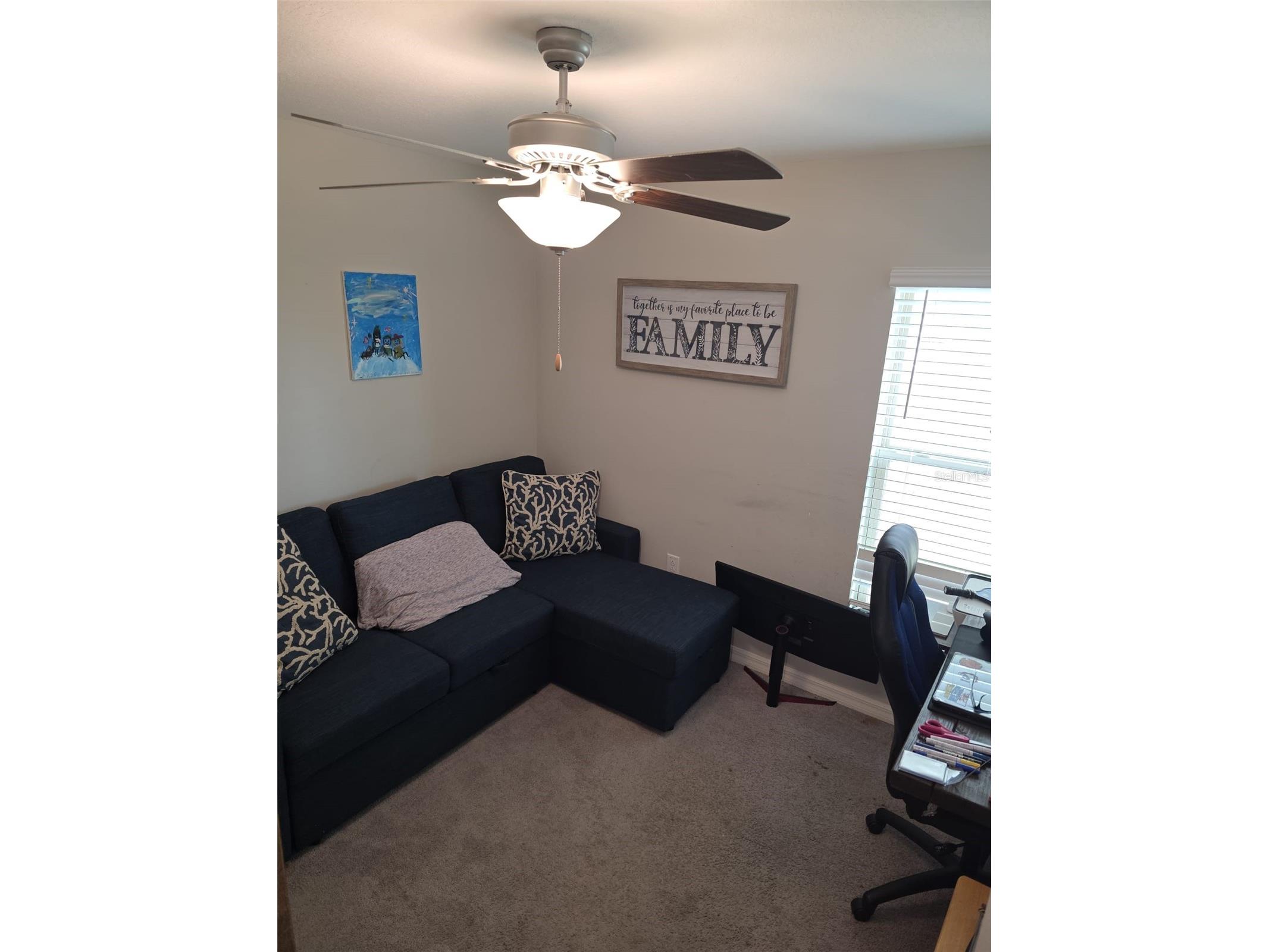 5104 Dandelion Street Apollo Beach FL 33572 S5149790 image14