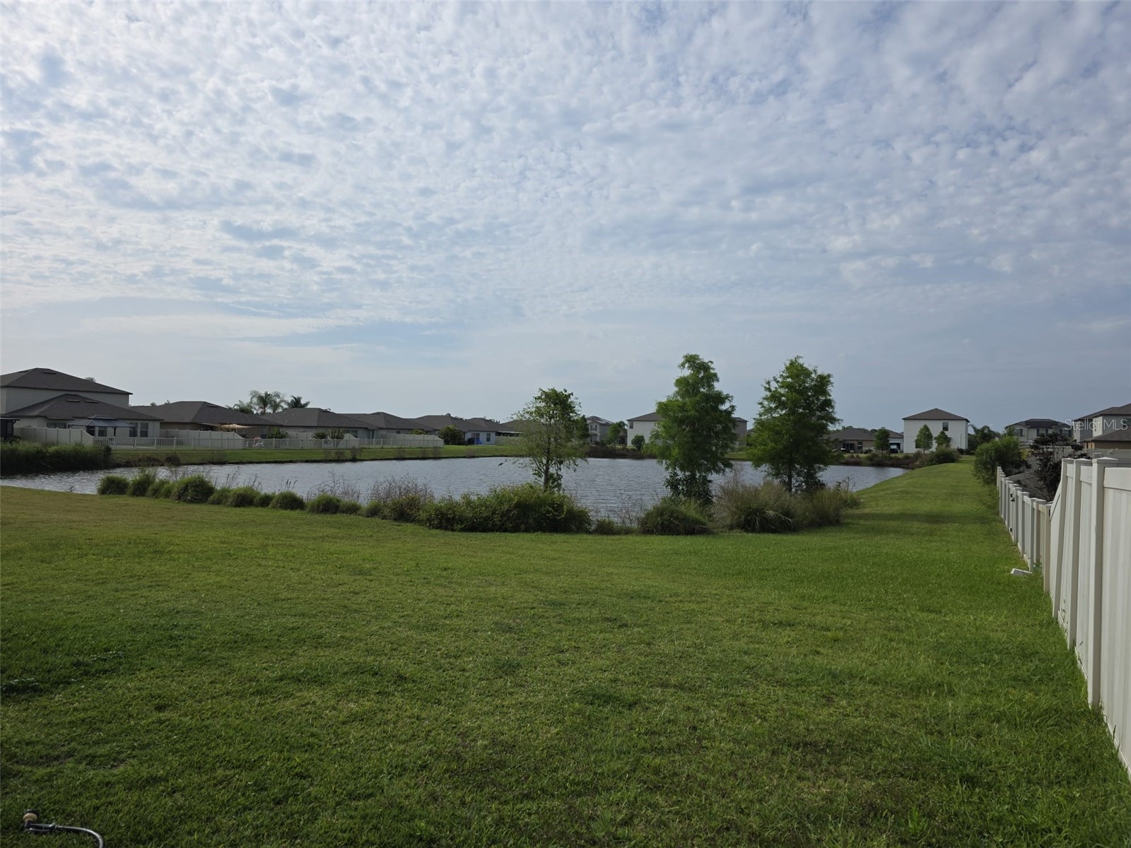 5104 Dandelion Street Apollo Beach FL 33572 S5149790 image18