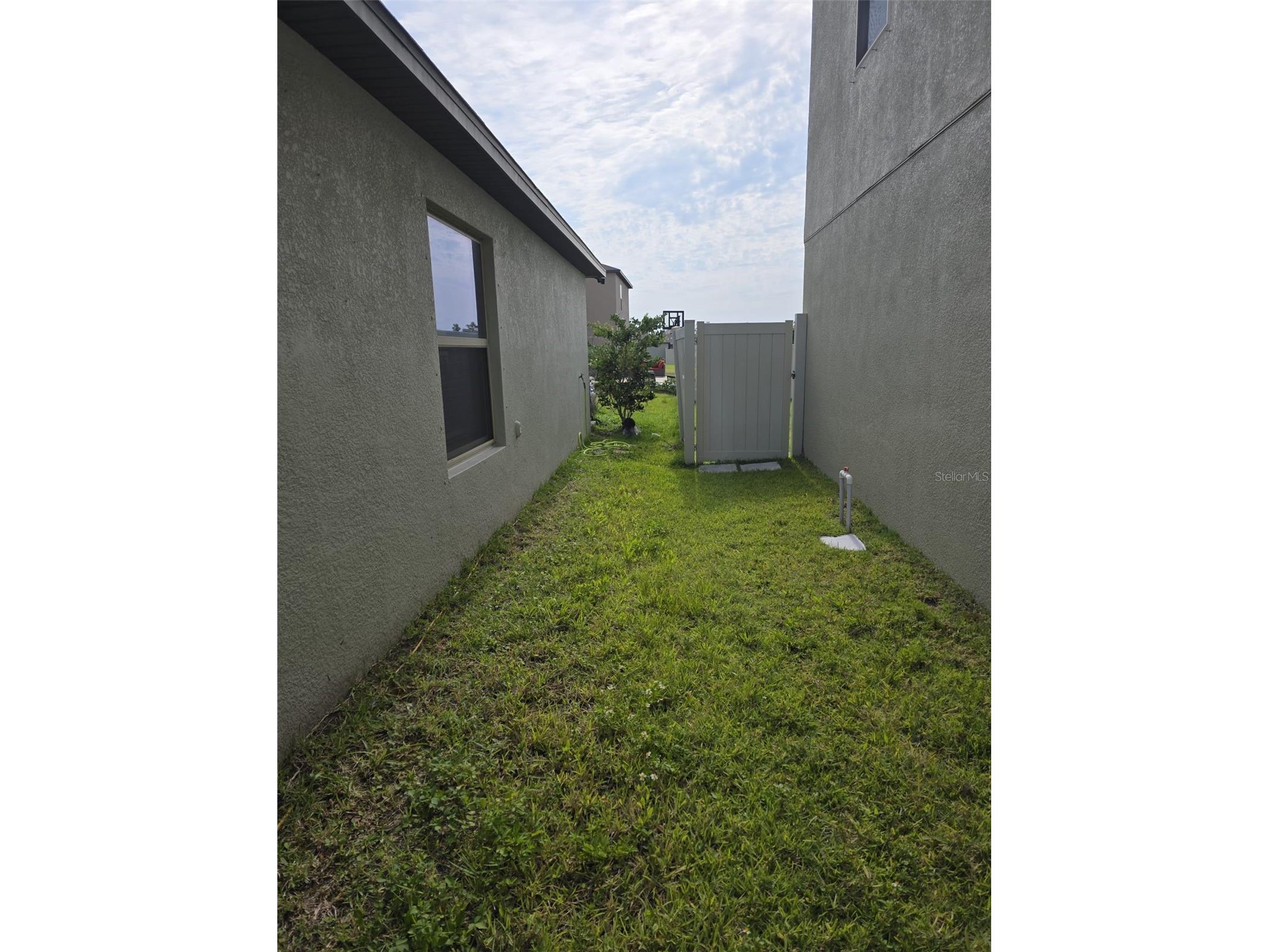 5104 Dandelion Street Apollo Beach FL 33572 S5149790 image3