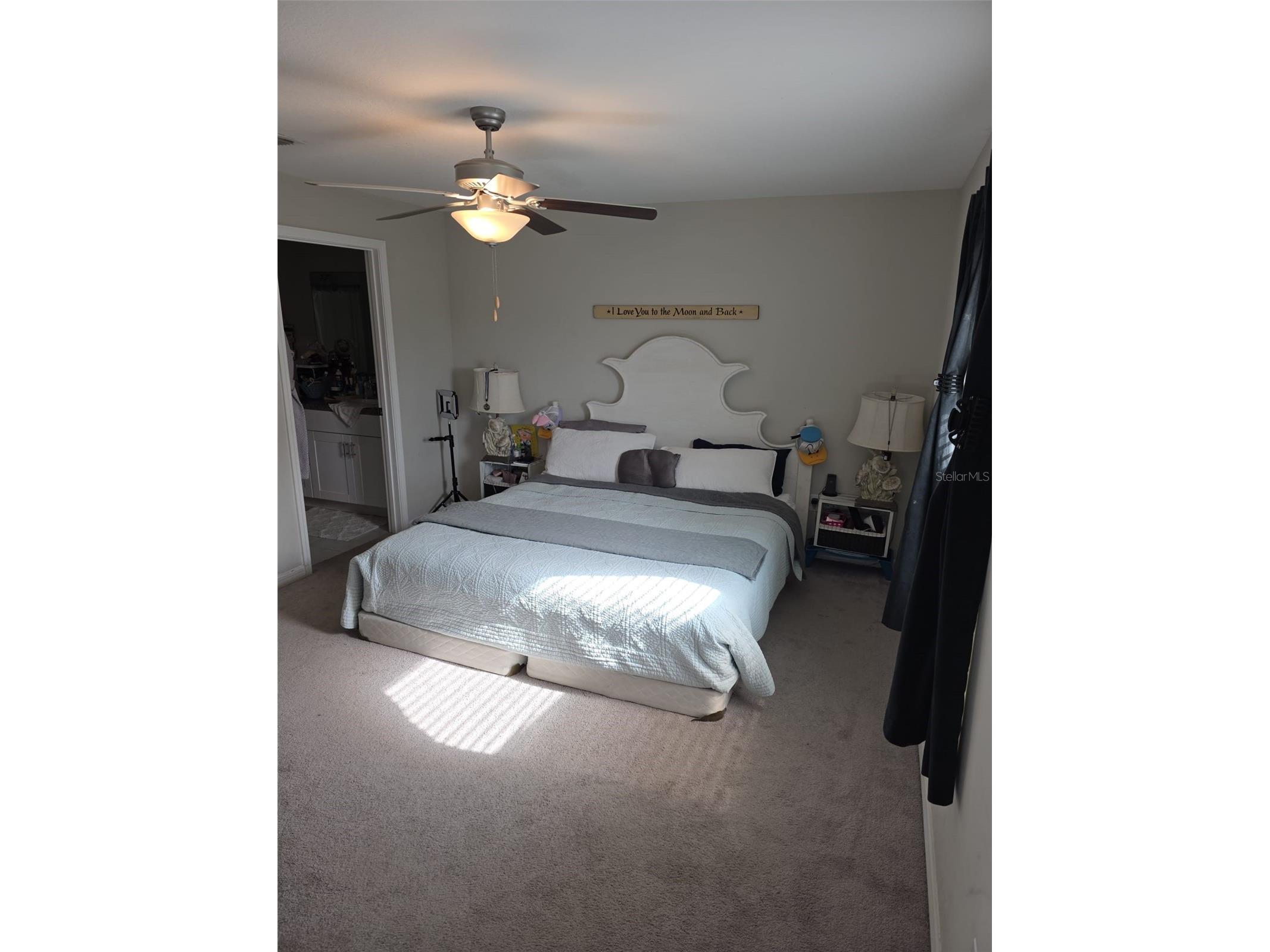 5104 Dandelion Street Apollo Beach FL 33572 S5149790 image7