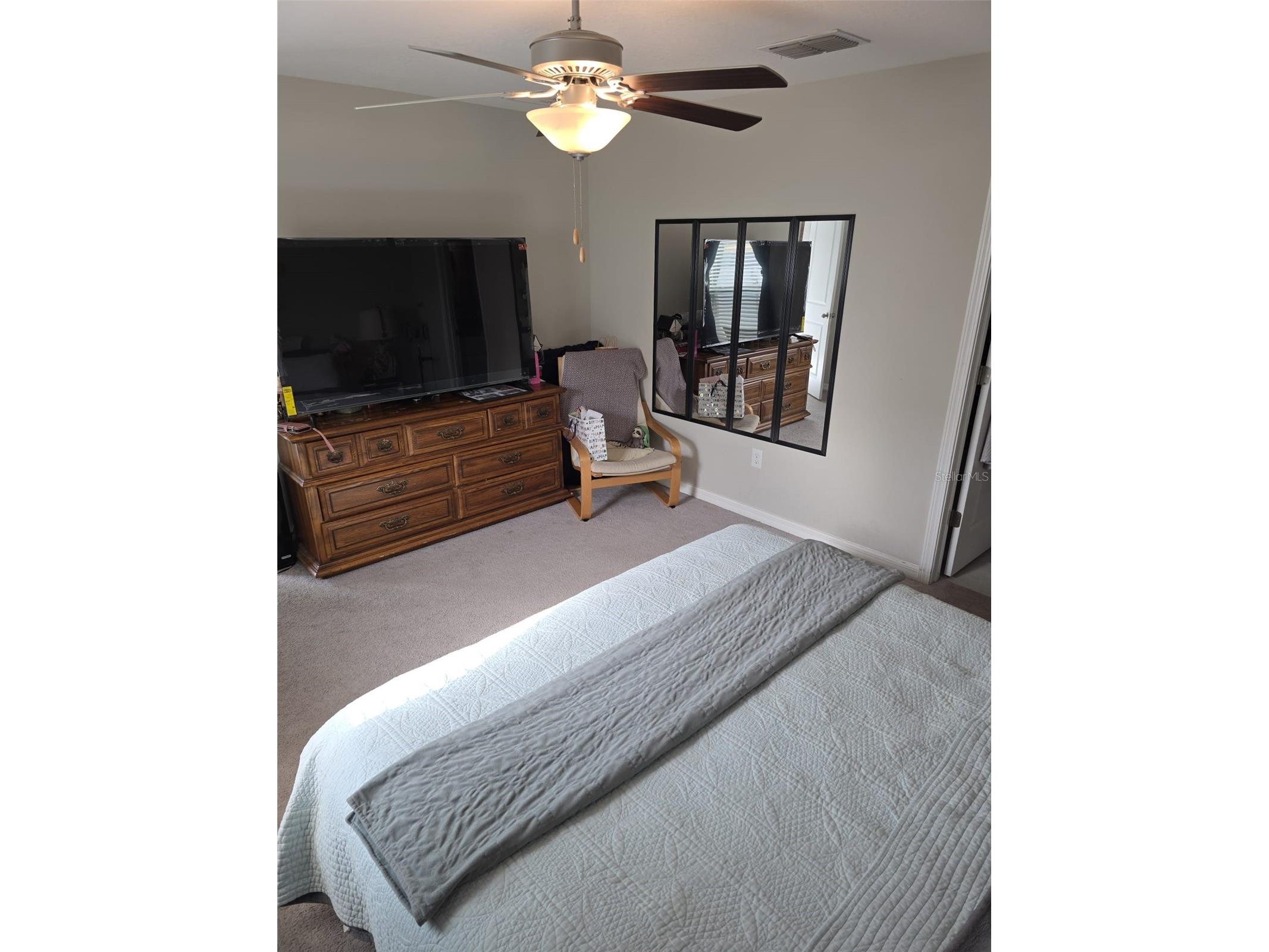 5104 Dandelion Street Apollo Beach FL 33572 S5149790 image8