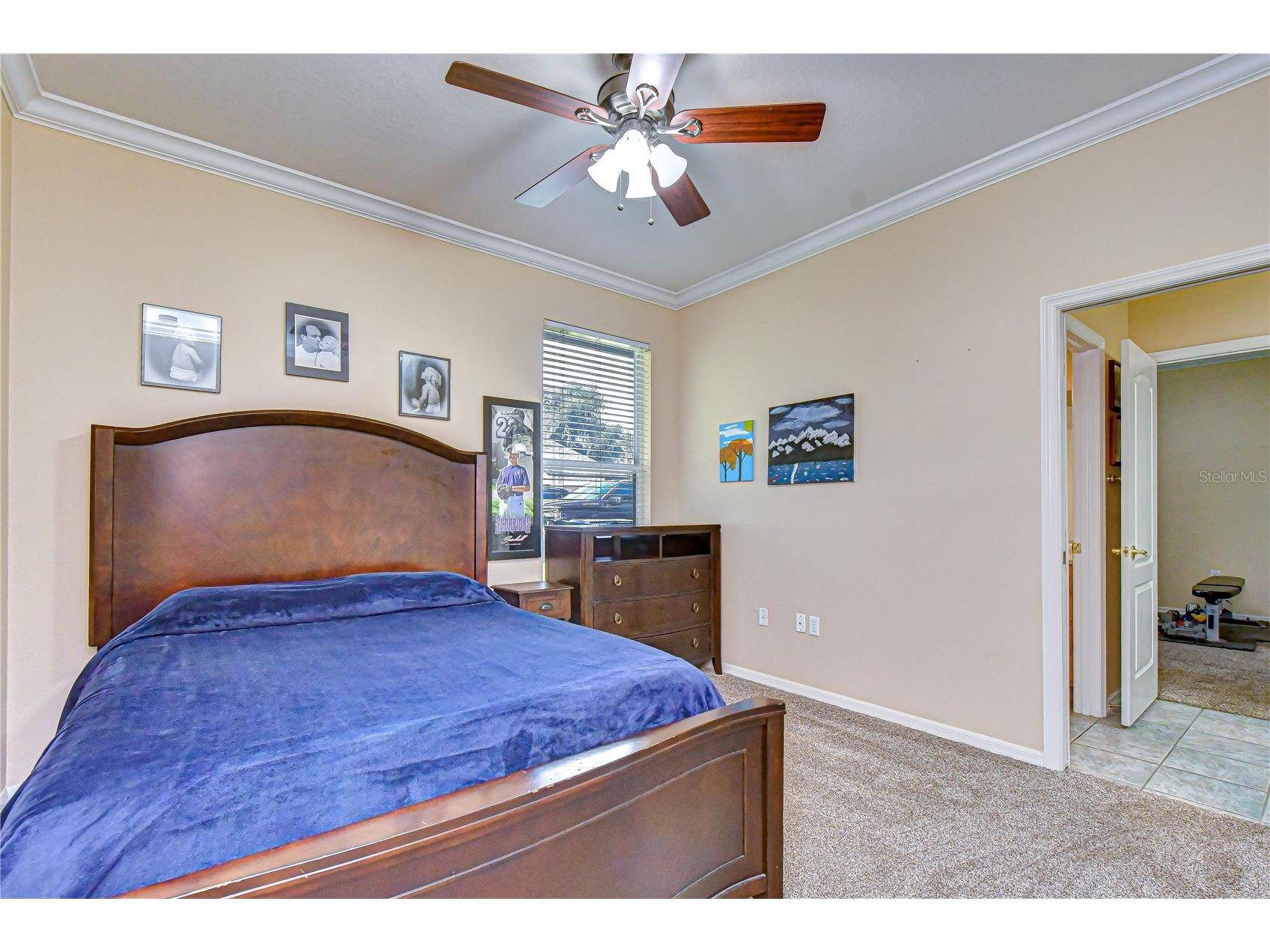 5104 Sylvan Oaks Drive Valrico FL 33596 TB8489301 image21