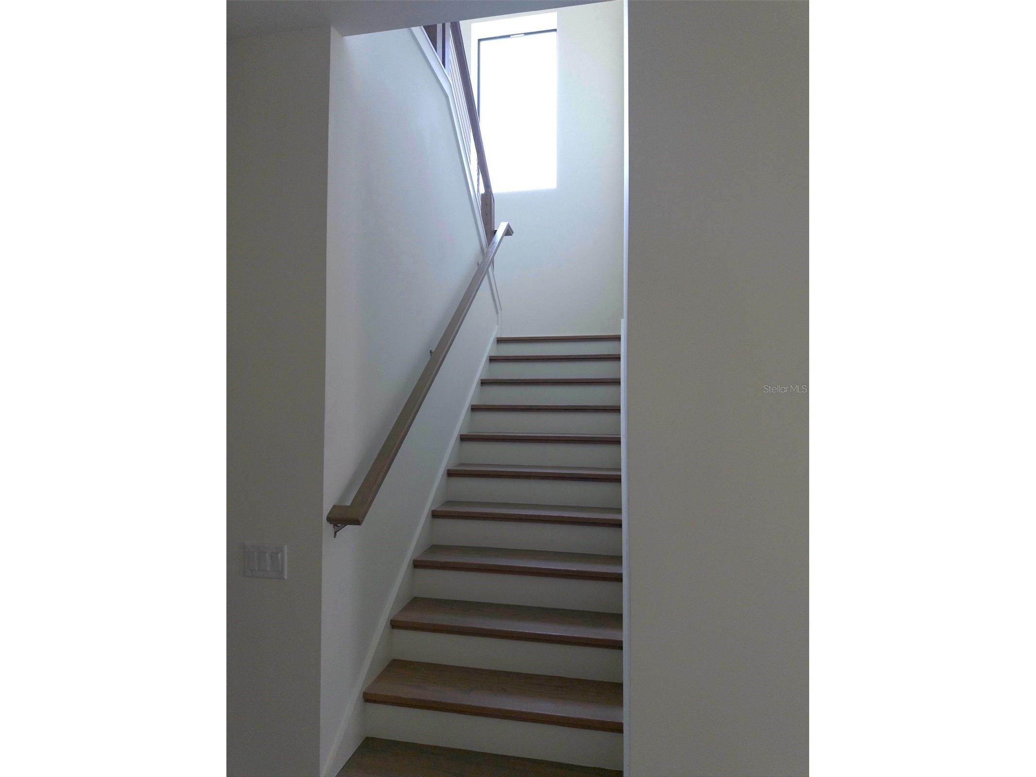5104 W Evelyn Drive Tampa FL 33609 TB8510691 image28