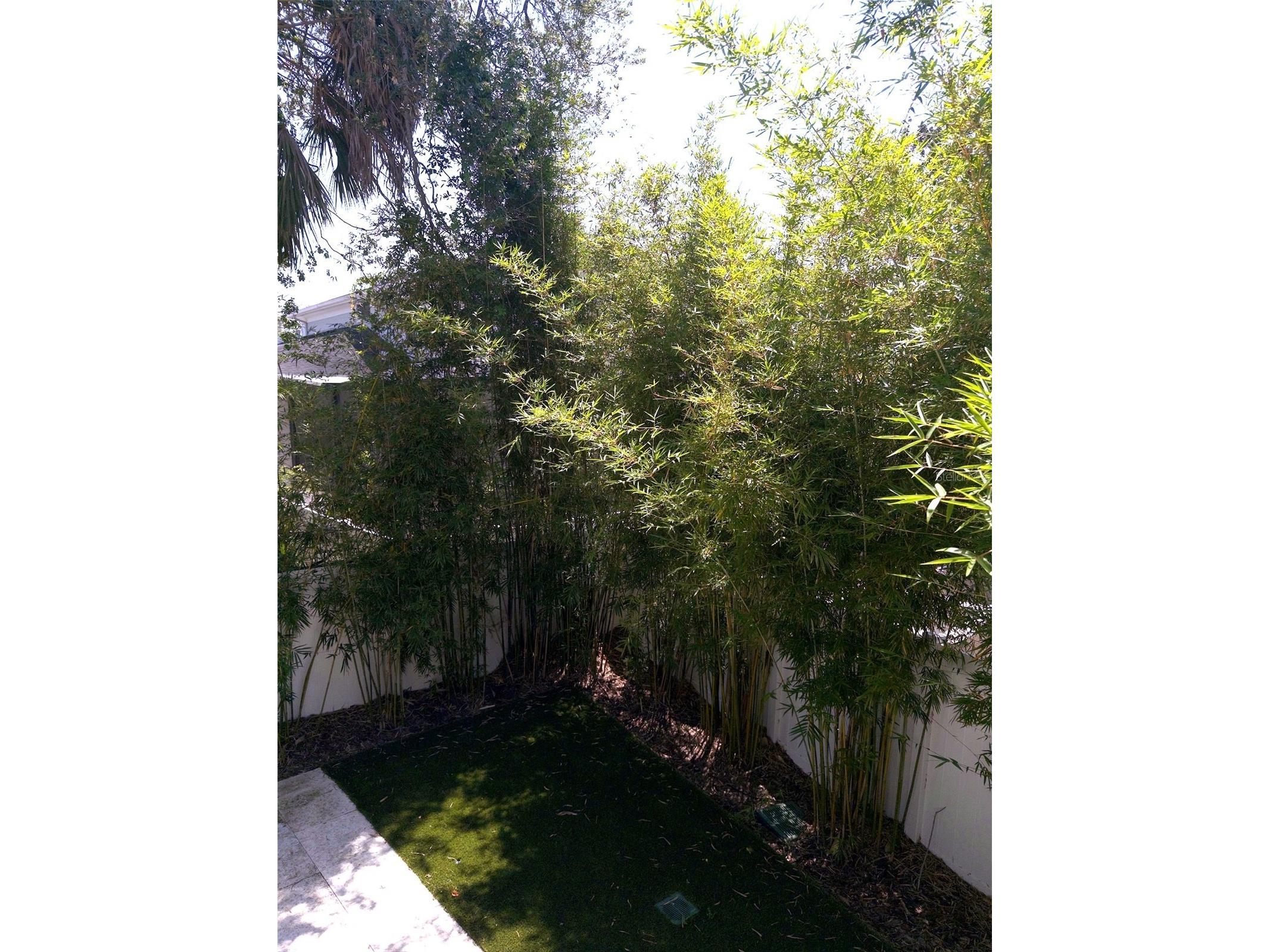 5104 W Evelyn Drive Tampa FL 33609 TB8510691 image73