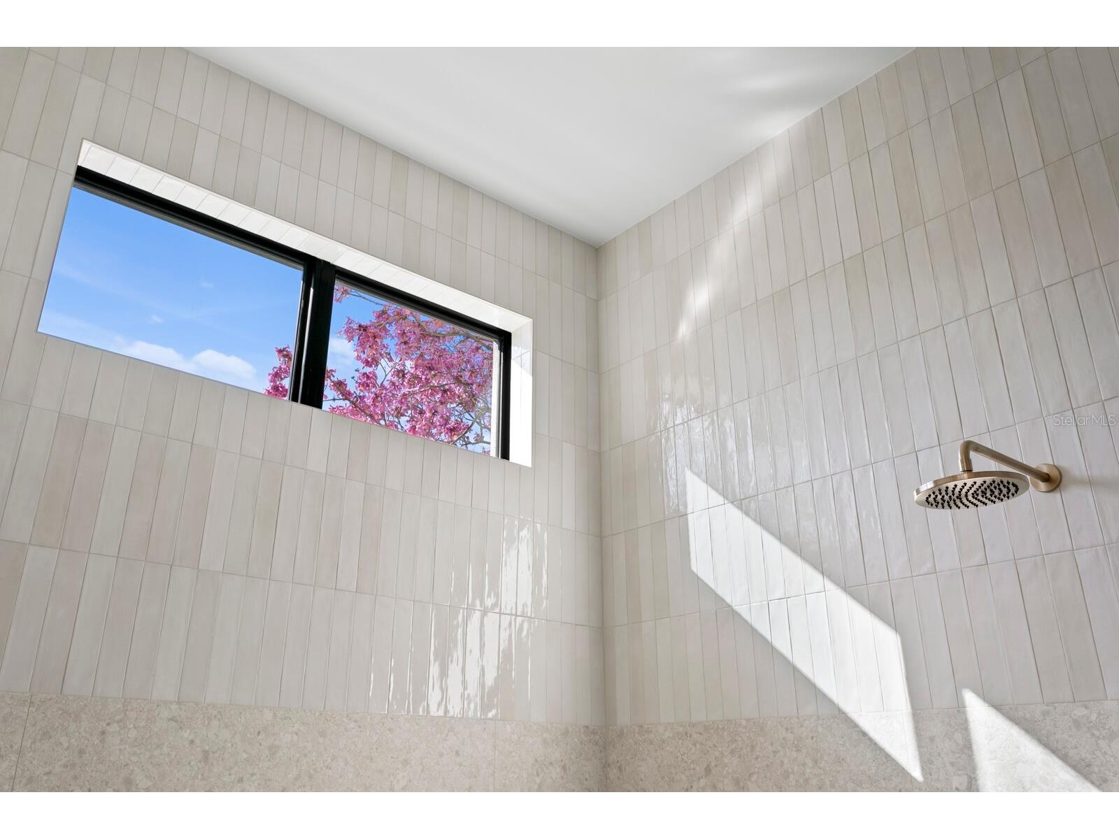 5104 W Platt Street Tampa FL 33609 TB8434265 image38