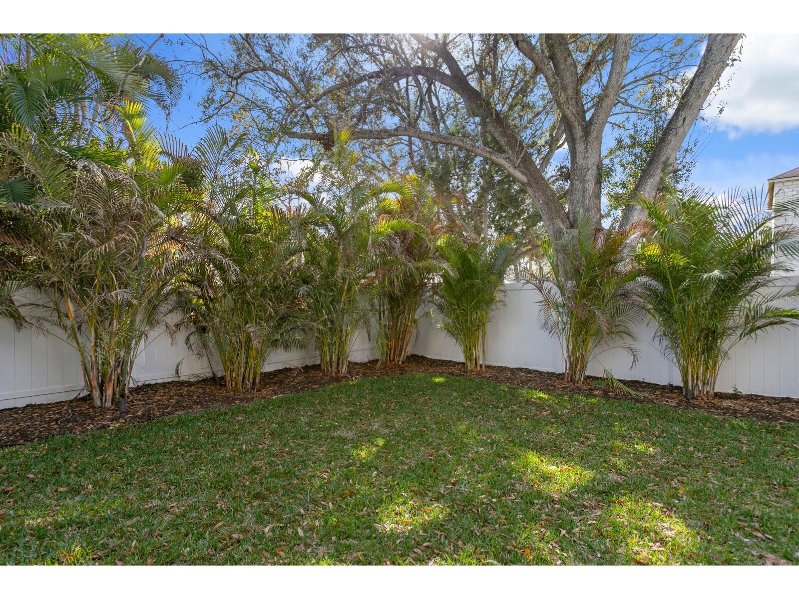 5104 W Platt Street Tampa FL 33609 TB8434265 image67