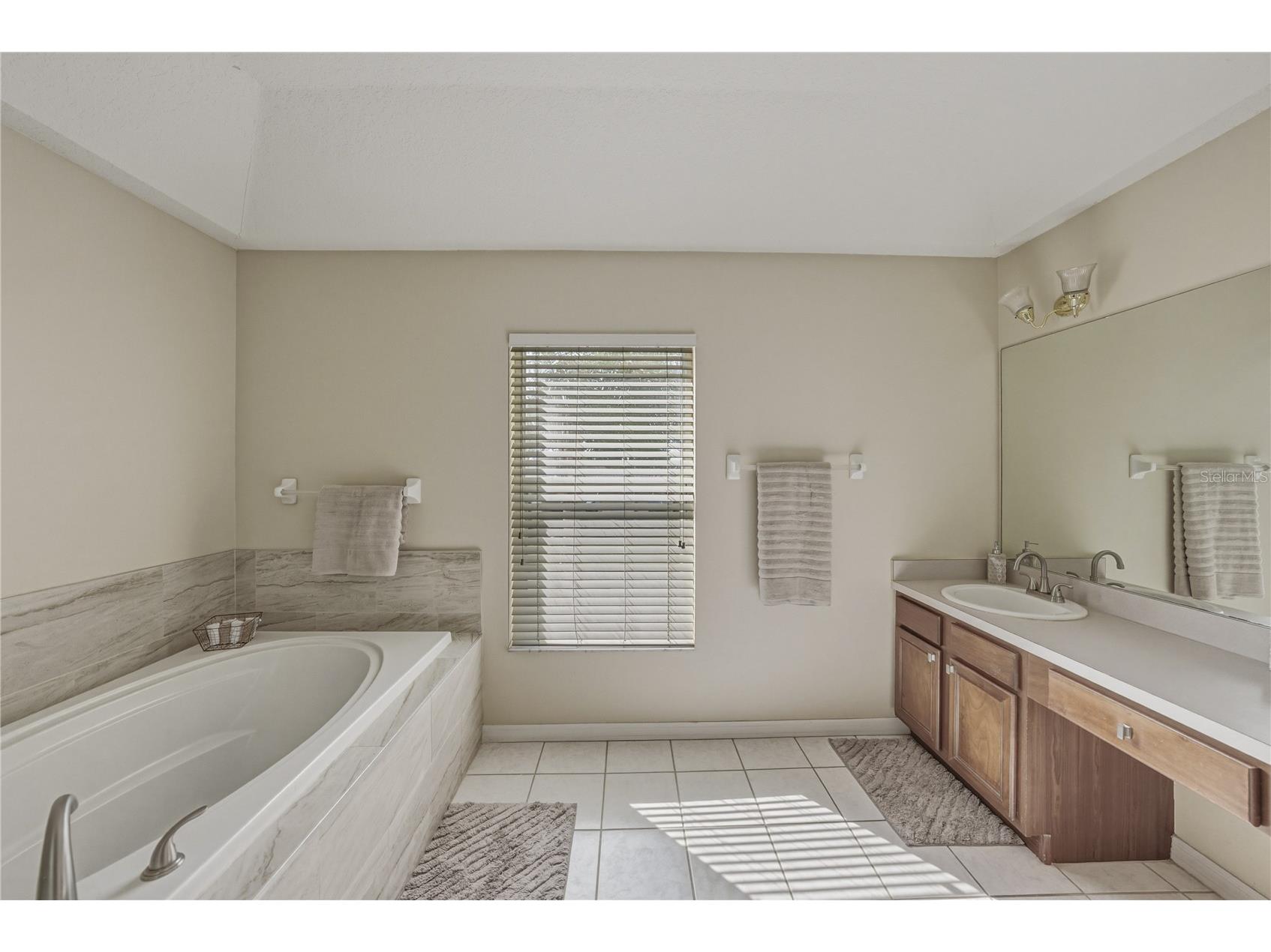5104 Whispering Leaf Trail Valrico FL 33596 TB8493213 image41