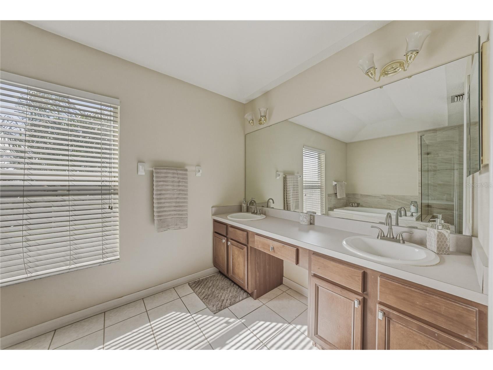 5104 Whispering Leaf Trail Valrico FL 33596 TB8493213 image42