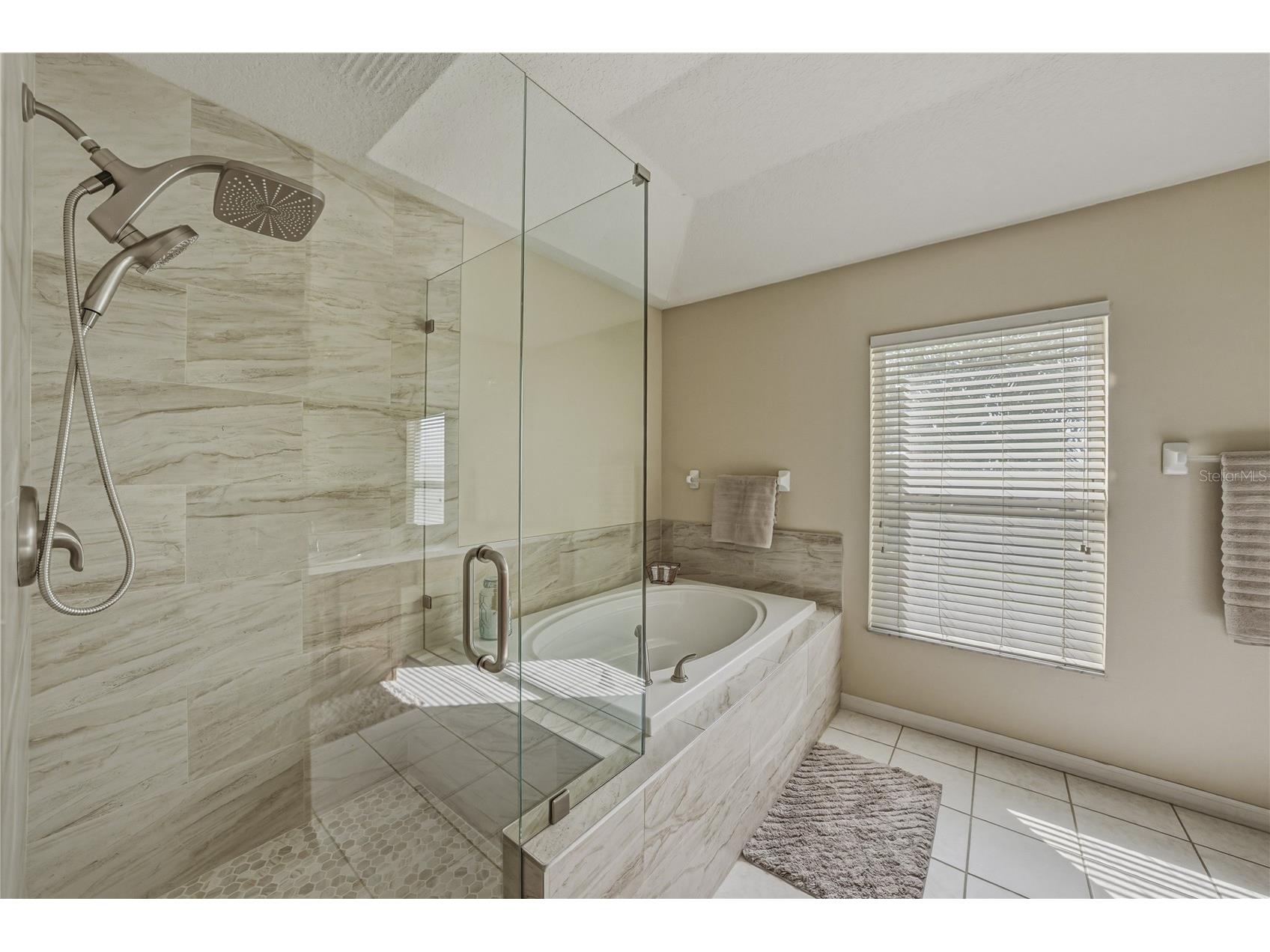 5104 Whispering Leaf Trail Valrico FL 33596 TB8493213 image43