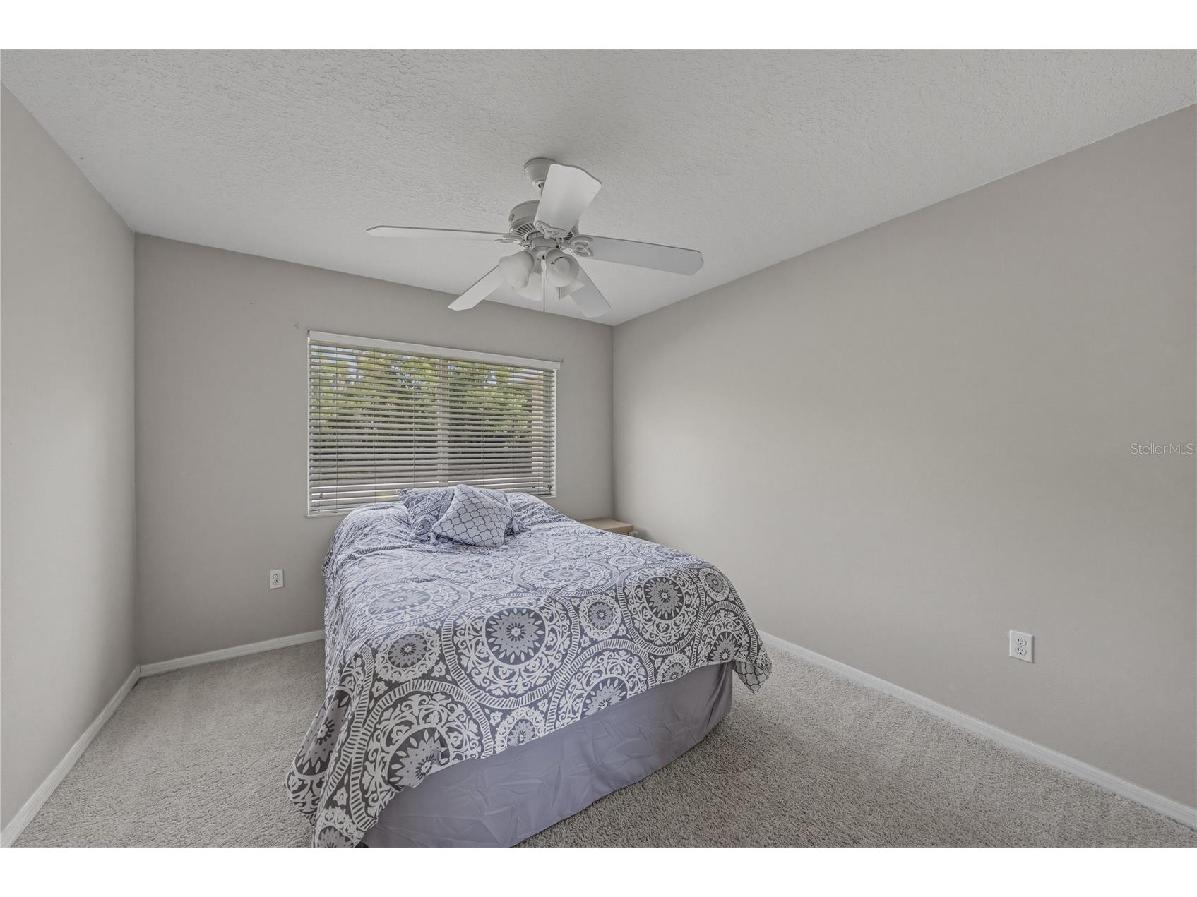 5104 Whispering Leaf Trail Valrico FL 33596 TB8493213 image51