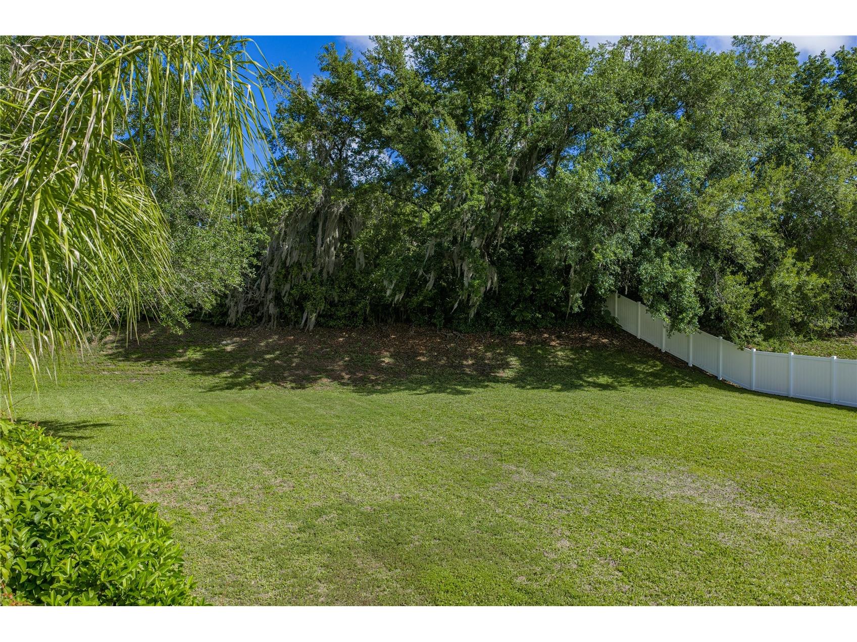 5104 Whispering Leaf Trail Valrico FL 33596 TB8493213 image76