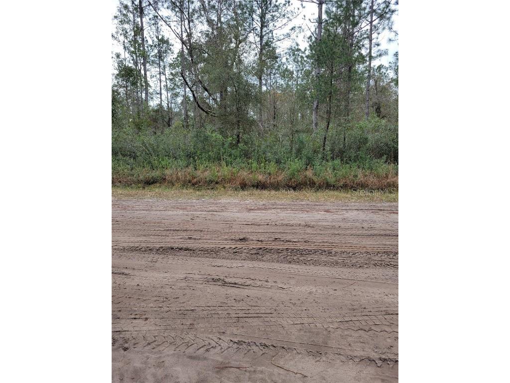 5105 Jonathan Street Hastings FL 32145 FC290087 image1