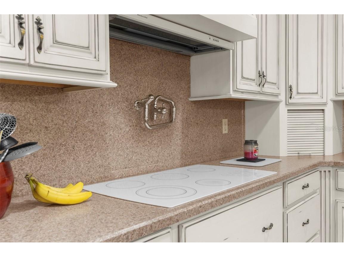 5105 Keysville Avenue Spring Hill FL 34608 W7878306 image10