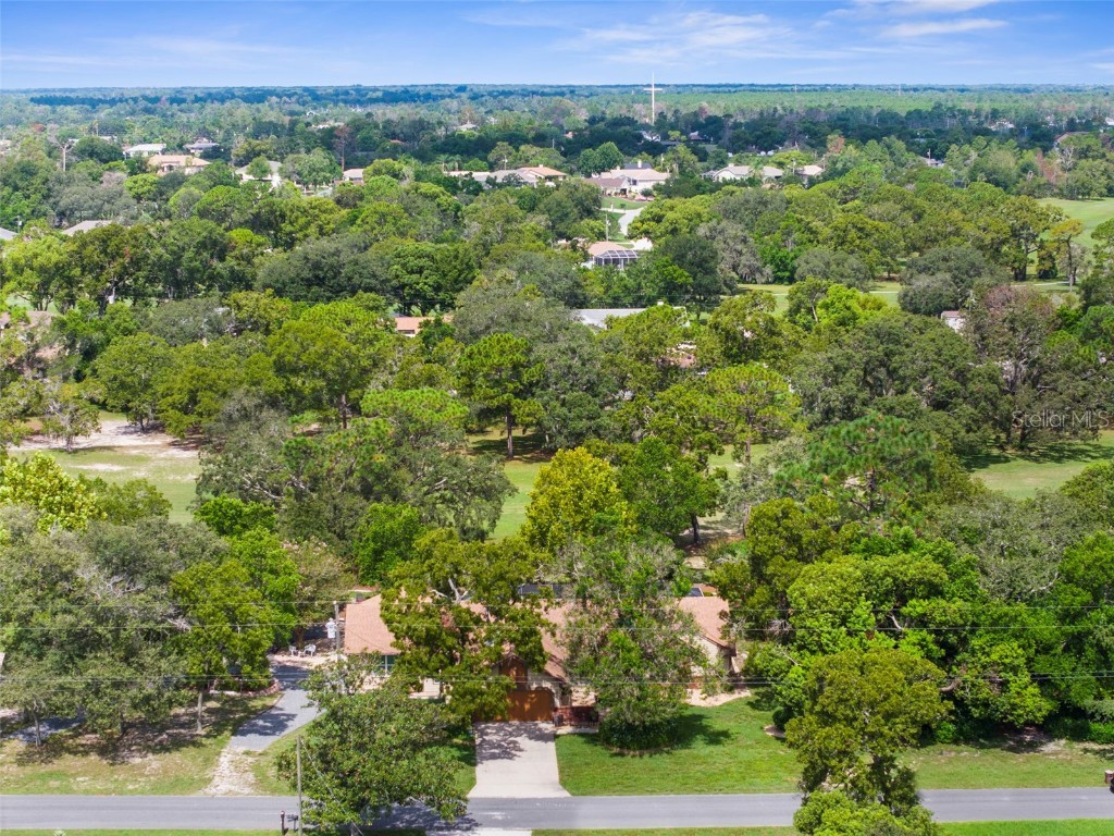 5105 Keysville Avenue Spring Hill FL 34608 W7878306 image42