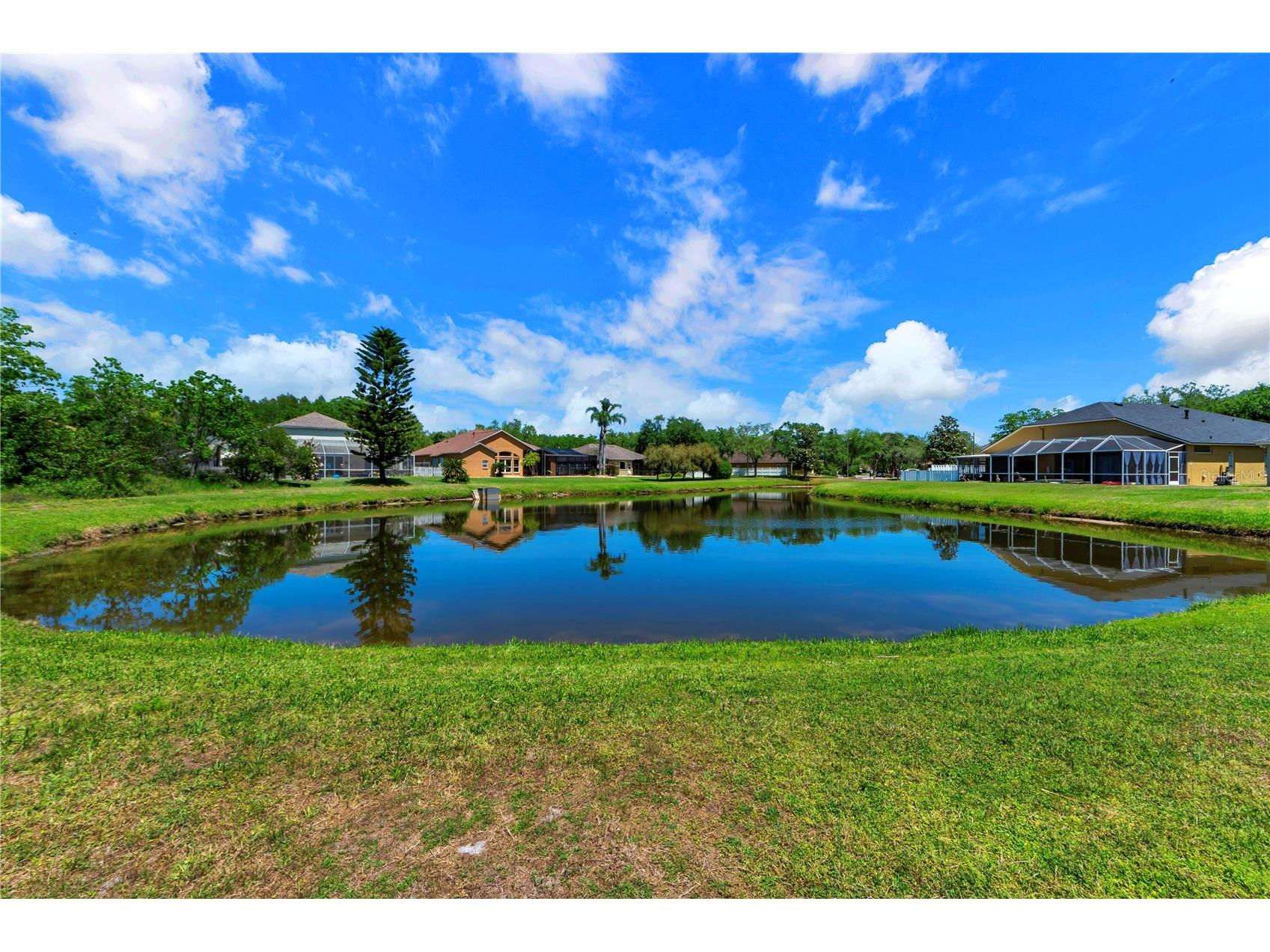 5105 Lady Rose Court Lutz FL 33558 TB8498341 image50