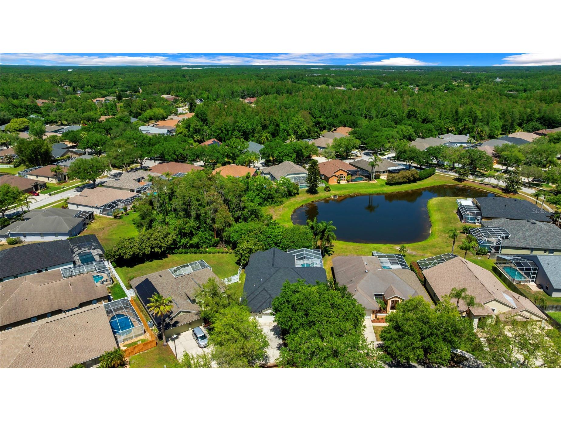 5105 Lady Rose Court Lutz FL 33558 TB8498341 image51